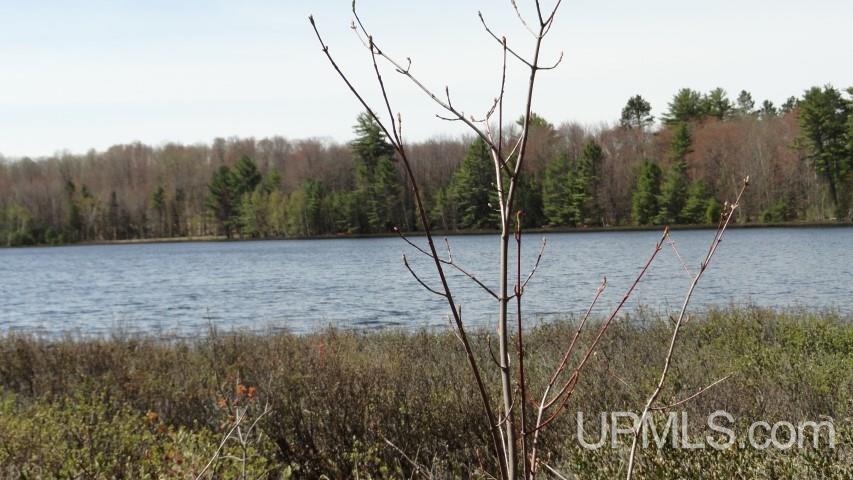 N3189 Buckhorn Road Wetmore, MI 49895 - Photo 17 of 26