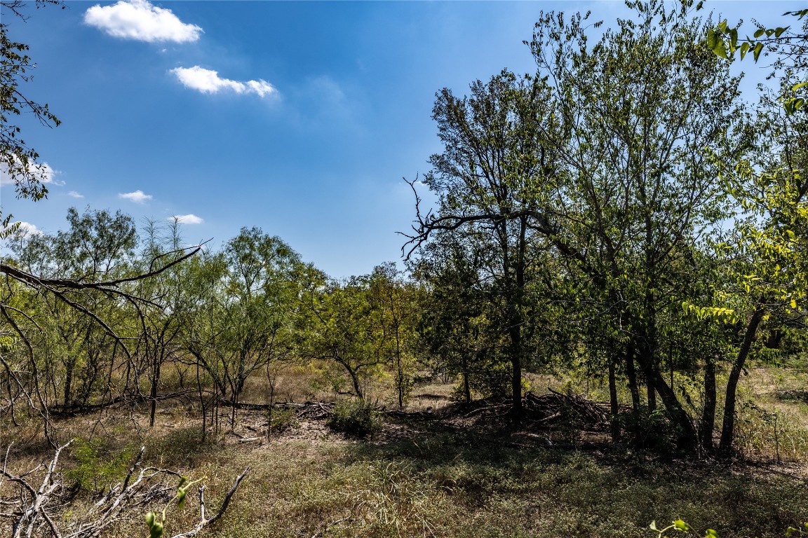 Tbd Lot 4 Tbd Road Red Rock, TX 78662 - Photo 7 of 11 a view of a backyard of a house