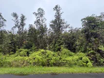 $30,000 | 5 Ohia Avenue, Mountain View, HI 96771