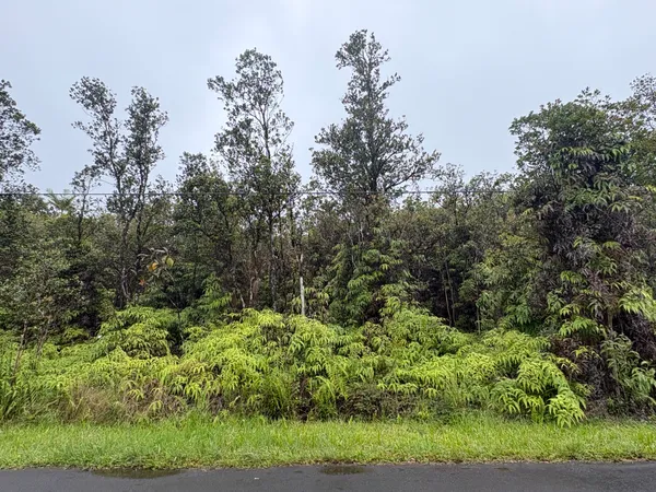 $30,000 | 5 Ohia Avenue, Mountain View, HI 96771