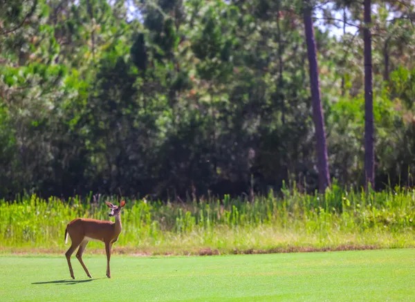 a view of a swimming pool with an outdoor space and seating area