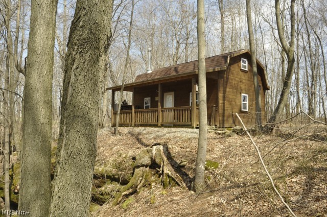 0 Trail Bottom Road Northwest Dundee, OH 44624 - Photo 5 of 22 Gallery Image 5