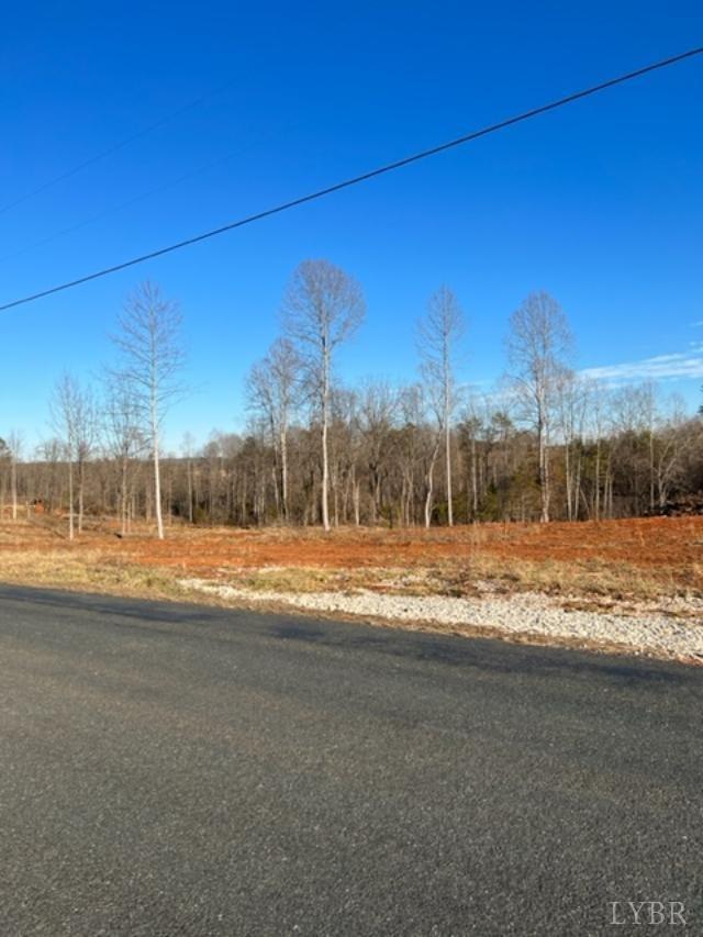 3 Liberty Chapel Road Appomattox, VA 24522 - Photo 4 of 7 Gallery Image 4