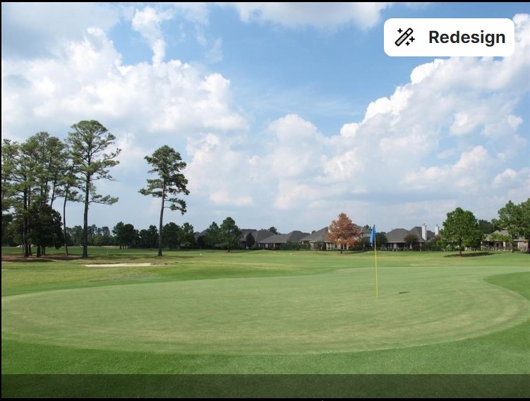 20322 Sequoia Trace Spring, TX 77379 - Photo 3 of 3 a view of a golf course with a lake