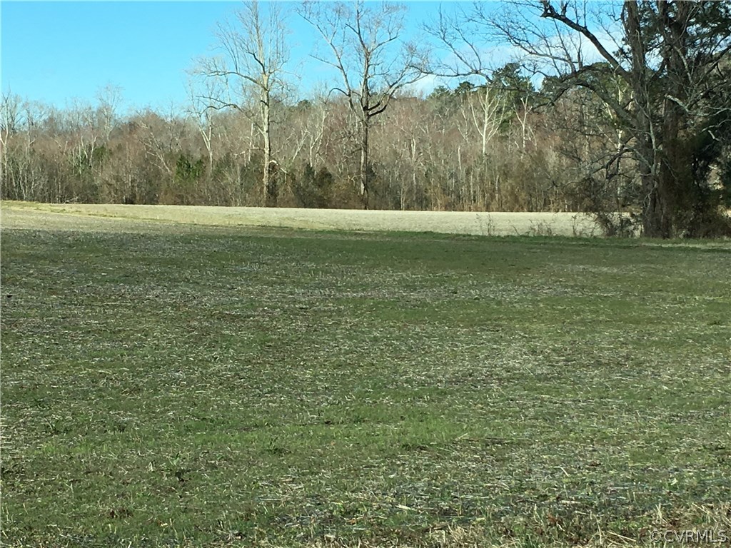 8305 Old Town Road Disputanta, VA 23842 - Photo 3 of 20 Gallery Image 3