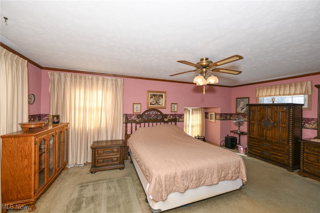 30875 Cannon Road Solon, OH 44139 - Photo 32 of 48 Carpeted bedroom featuring ceiling fan, crown molding, and a textured ceiling