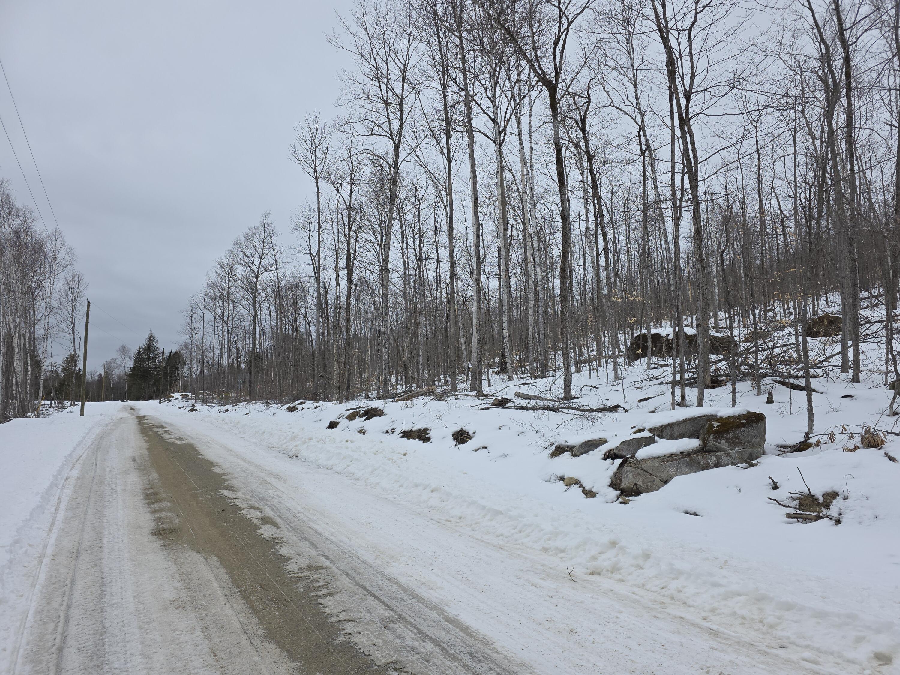 Lot F Sleeper Road Island Falls, ME 04747 - Photo 3 of 9 20260223_123900