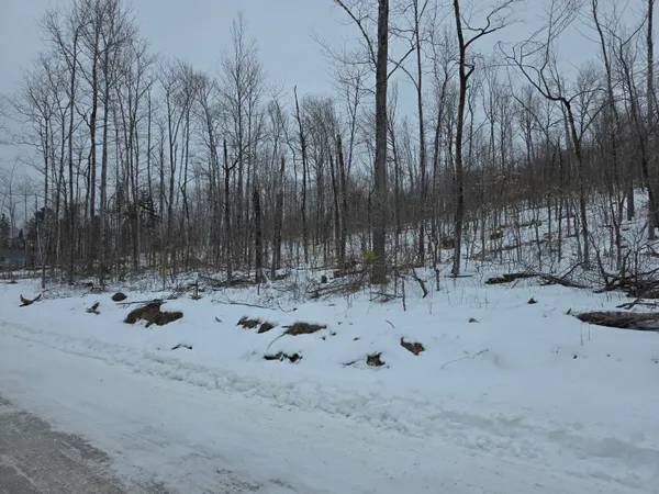 $47,900 | Lot F Sleeper Road, Island Falls, ME 04747
