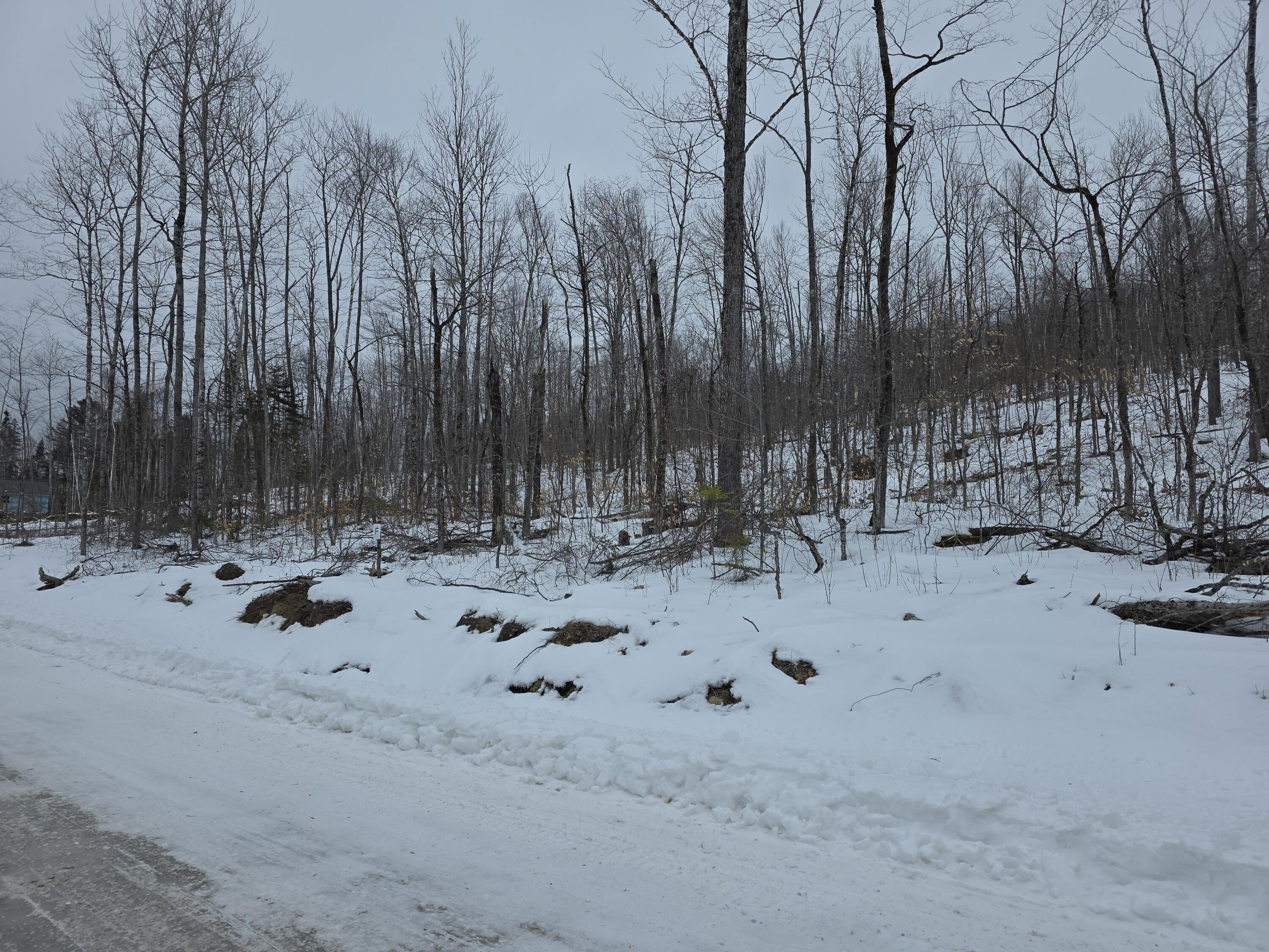 Lot F Sleeper Road Island Falls, ME 04747 - Photo 4 of 9 20260223_123932