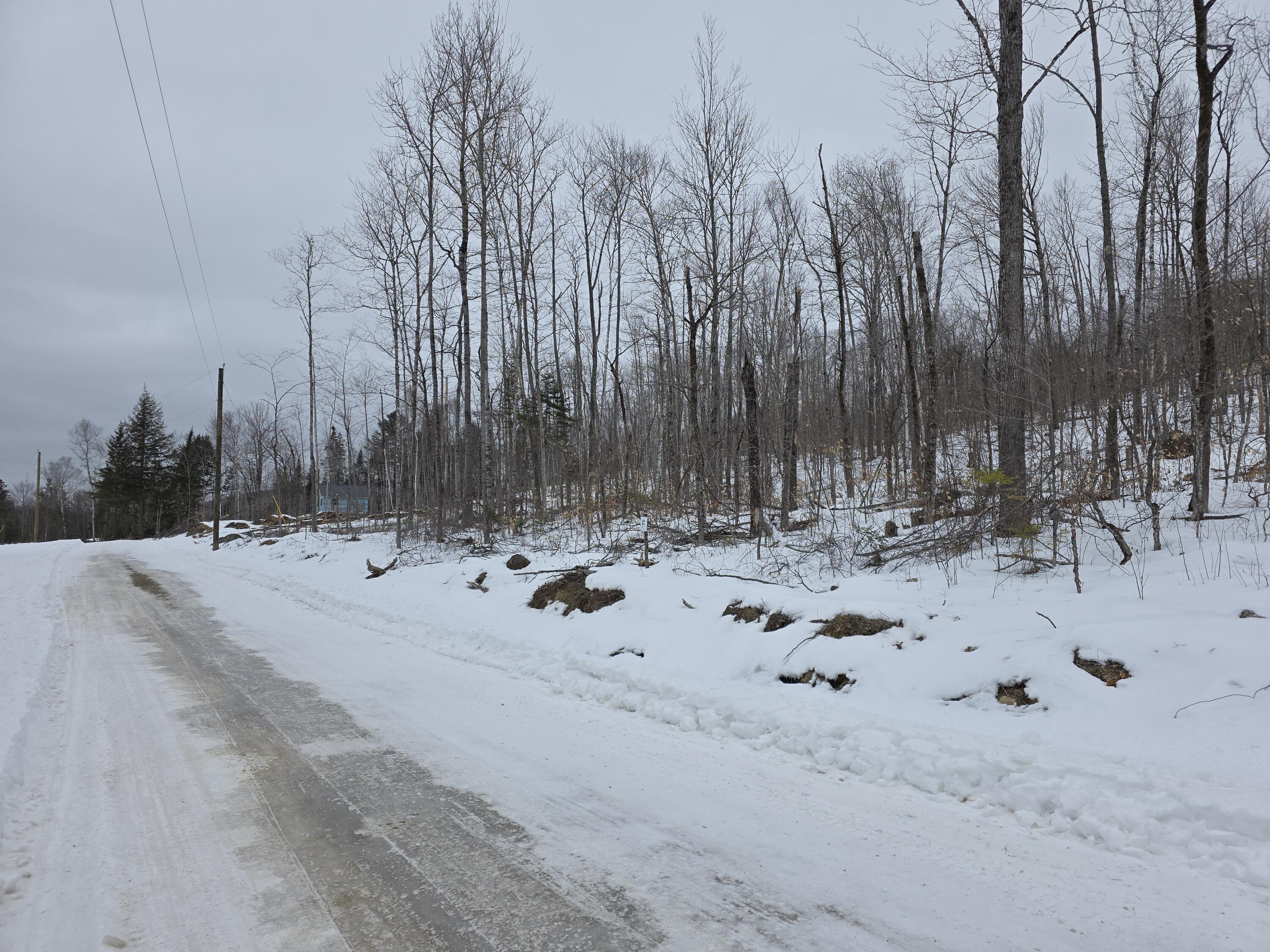 Lot F Sleeper Road Island Falls, ME 04747 - Photo 5 of 9 20260223_123934