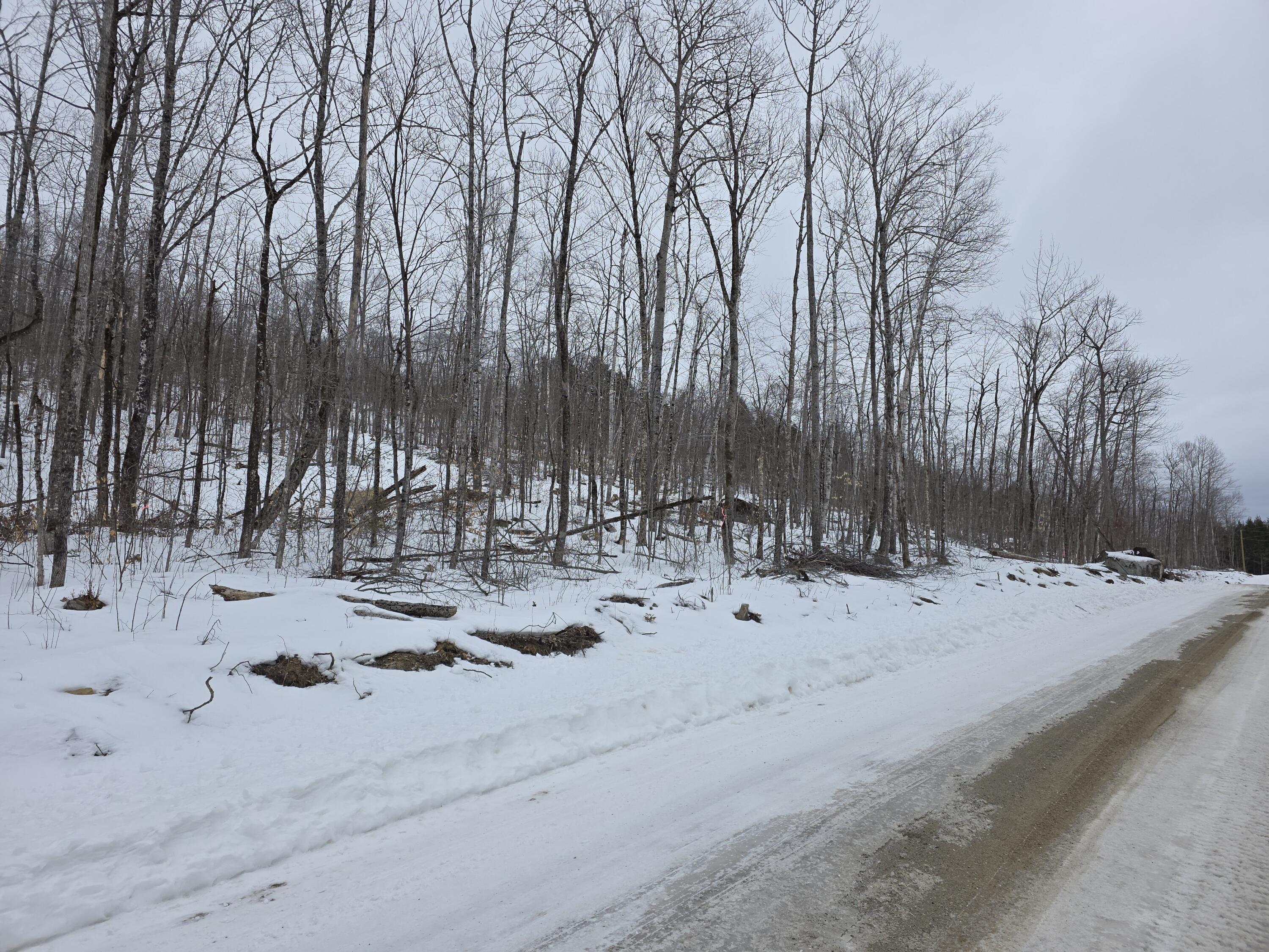 Lot F Sleeper Road Island Falls, ME 04747 - Photo 6 of 9 20260223_123942