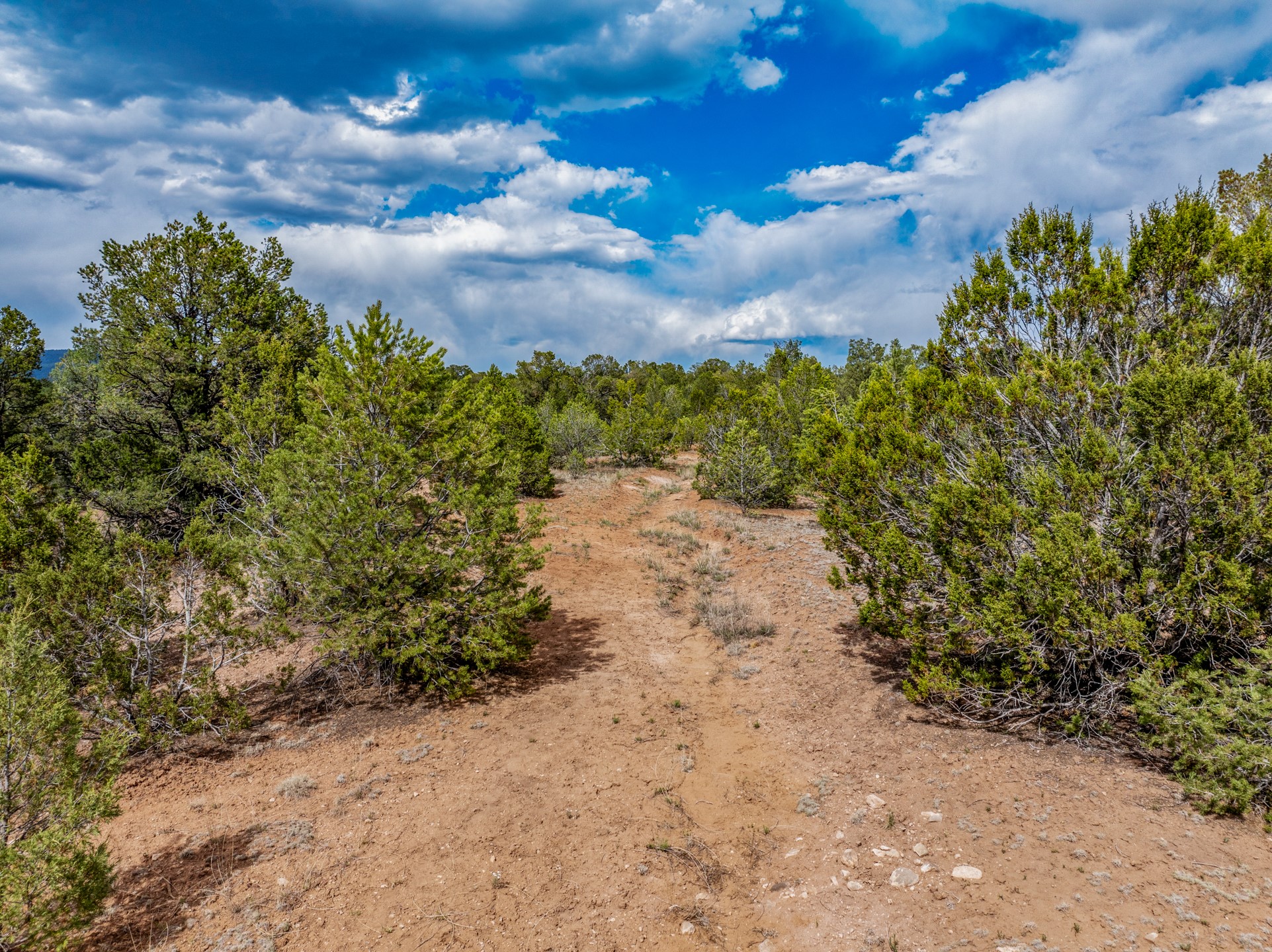 2.38-acres Old Colonias Road Pecos, NM 87552 - Photo 12 of 25