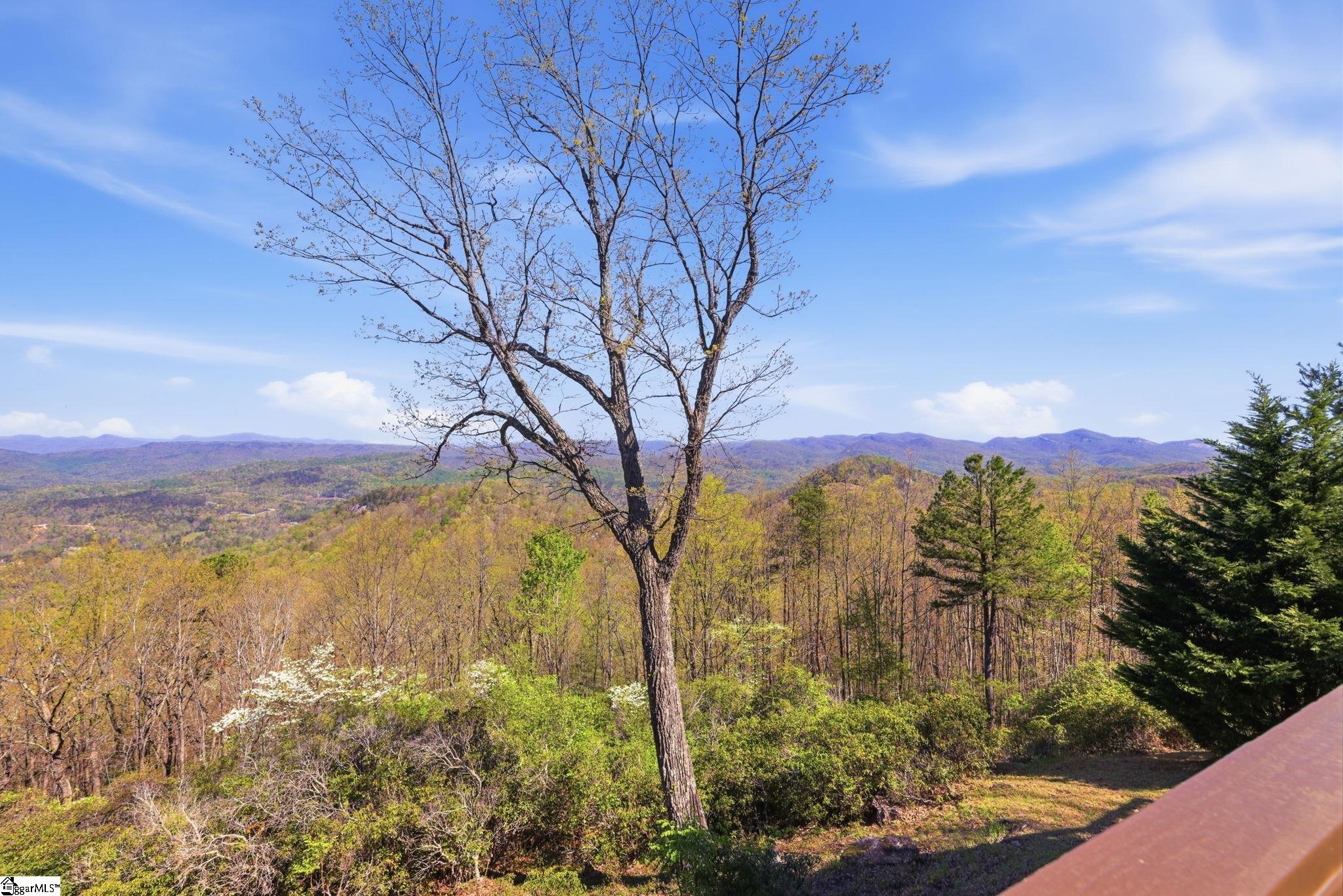 630 Upper Springs Road Pickens, SC 29671 - Photo 16 of 49