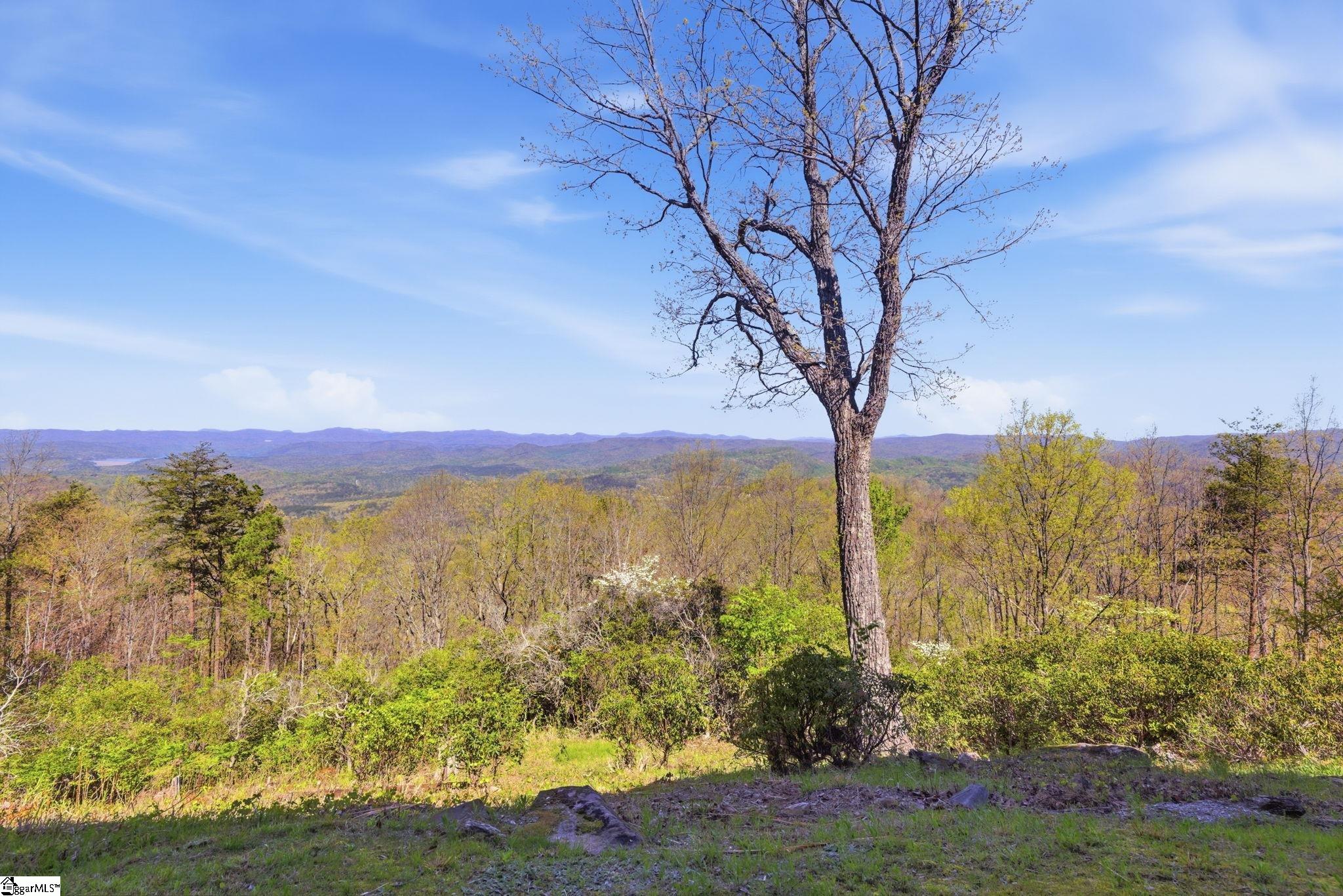 630 Upper Springs Road Pickens, SC 29671 - Photo 42 of 49