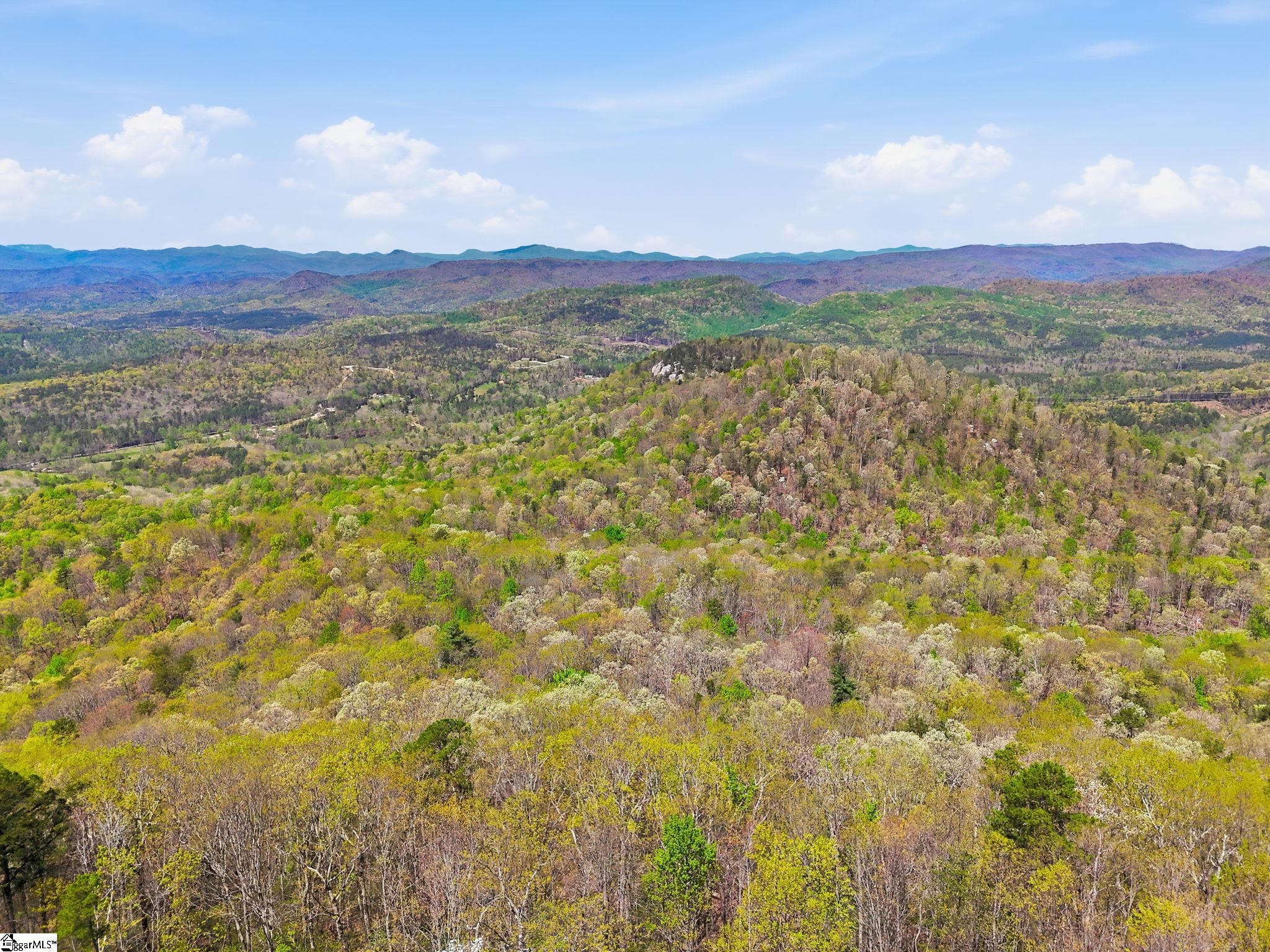 630 Upper Springs Road Pickens, SC 29671 - Photo 44 of 49