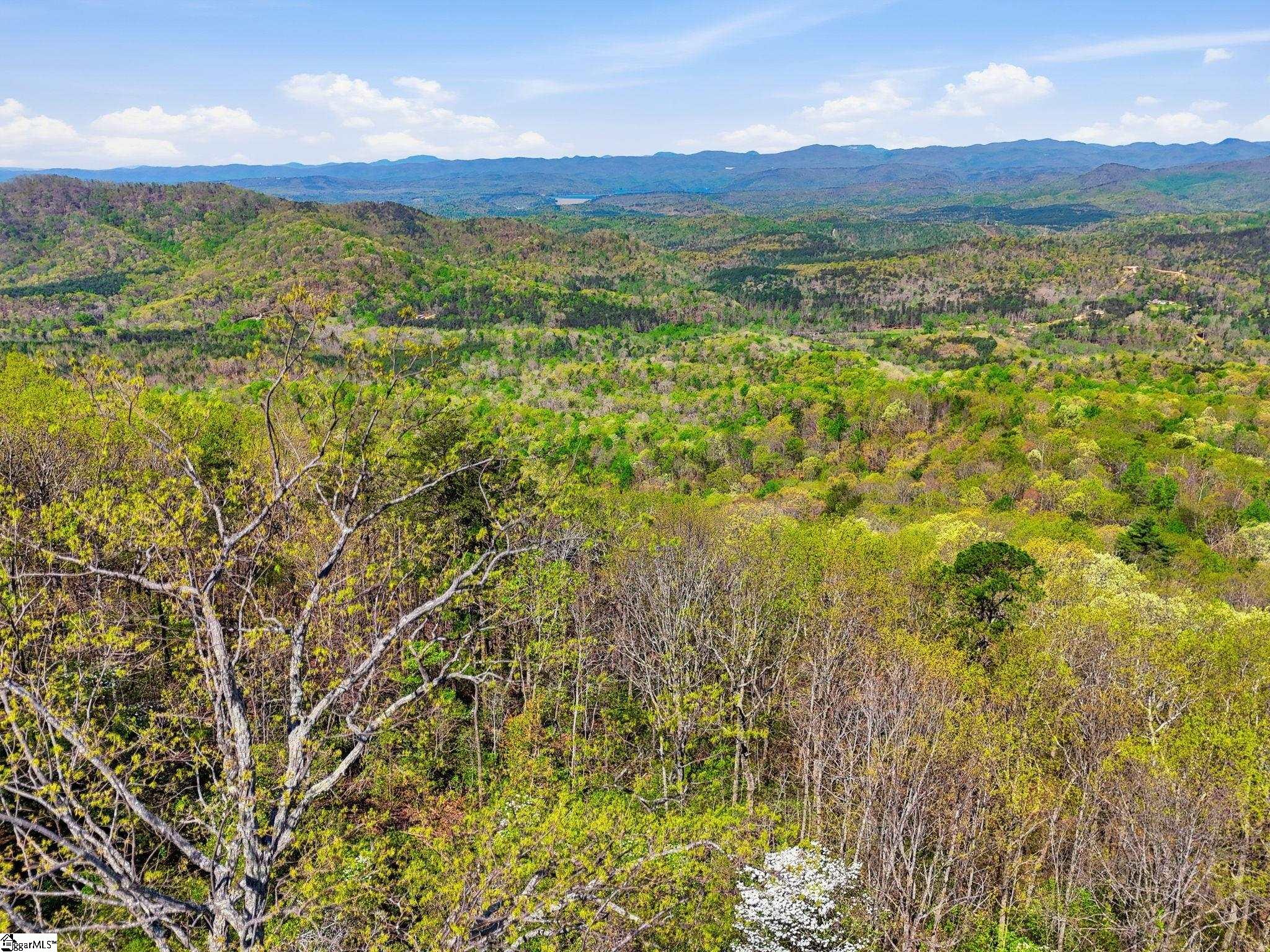 630 Upper Springs Road Pickens, SC 29671 - Photo 45 of 49