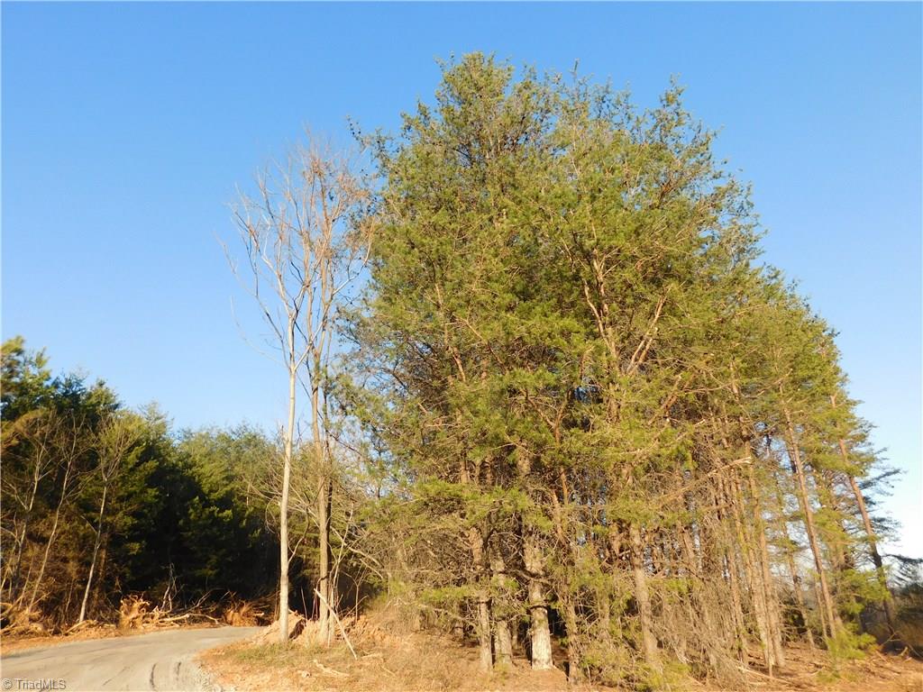 1603 Franklin Moore Road Madison, NC 27025 - Photo 2 of 10 Gallery Image 2
