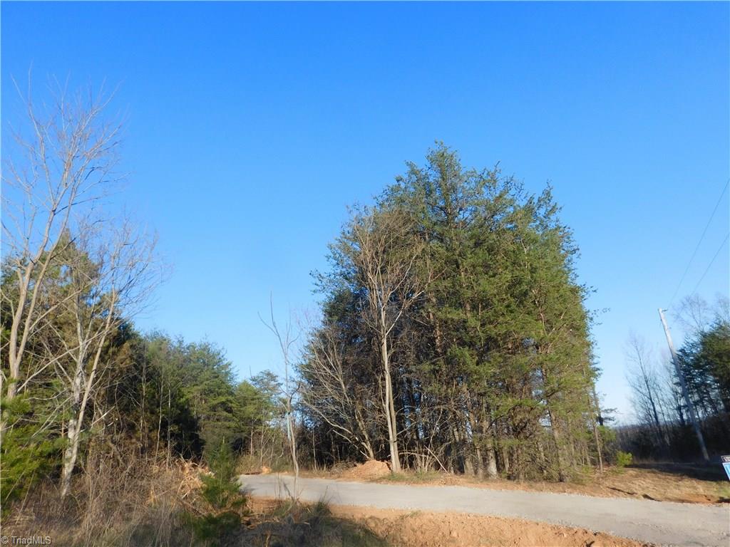 1603 Franklin Moore Road Madison, NC 27025 - Photo 3 of 10 Gallery Image 3