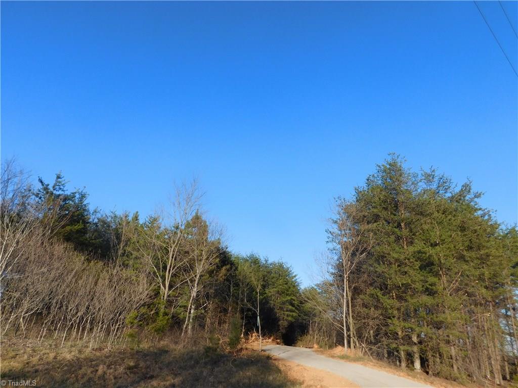 1603 Franklin Moore Road Madison, NC 27025 - Photo 4 of 10 Gallery Image 4