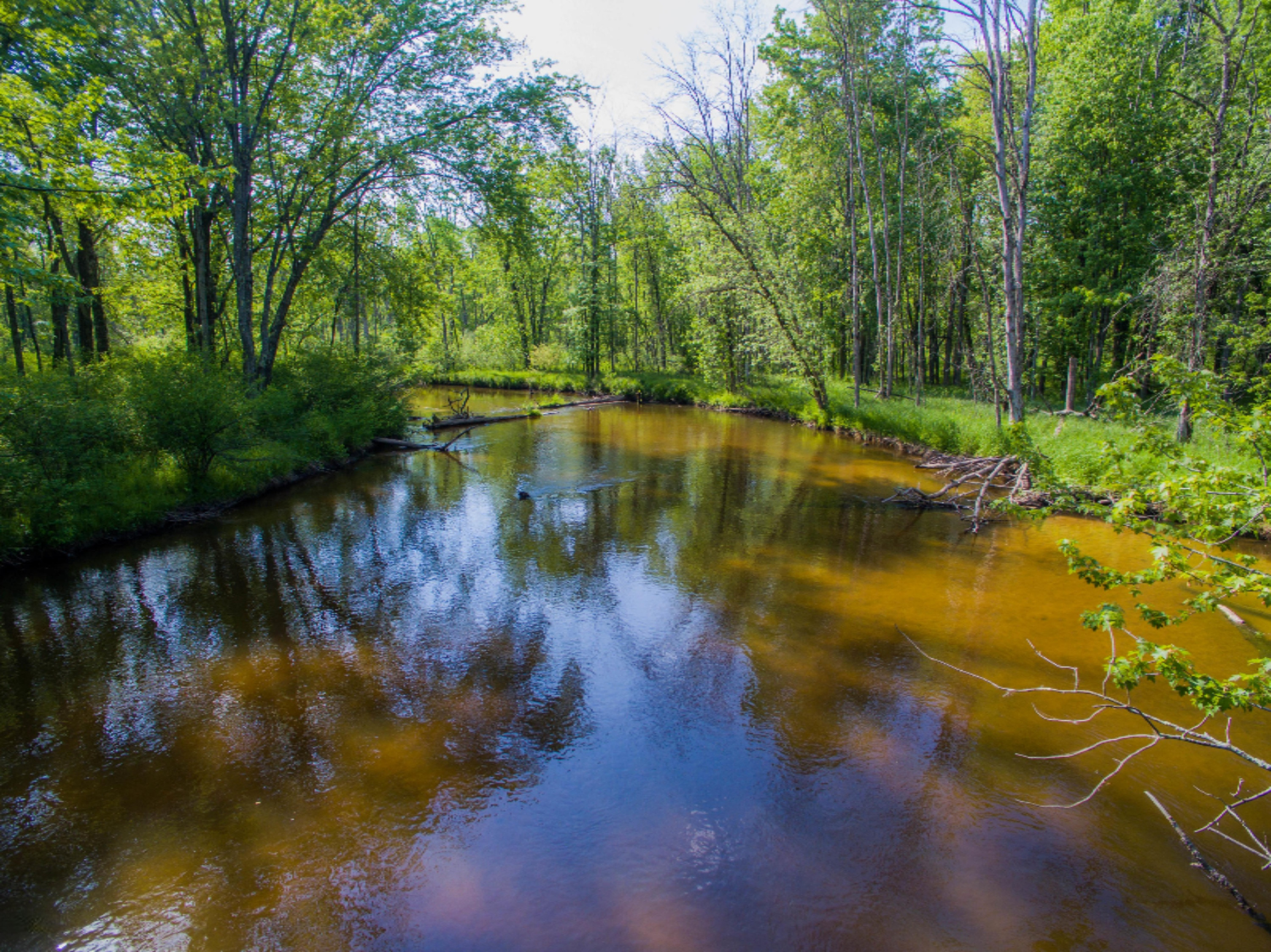 40 South A S Reek Road Custer, MI 49405 - Photo 1 of 37 40 Acres Custer PM River-1