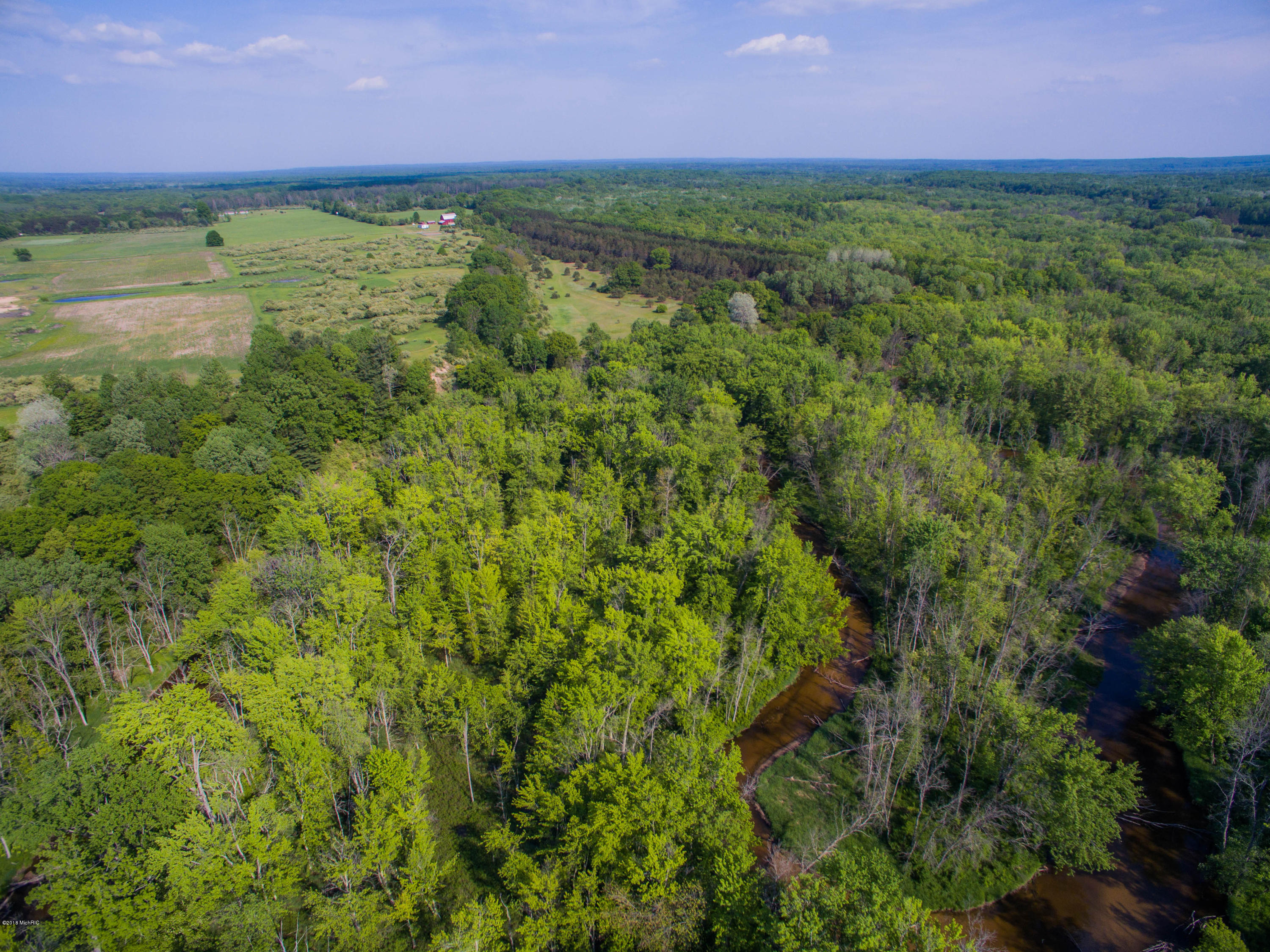 40 South A S Reek Road Custer, MI 49405 - Photo 11 of 37 40 Acres Custer PM River-6