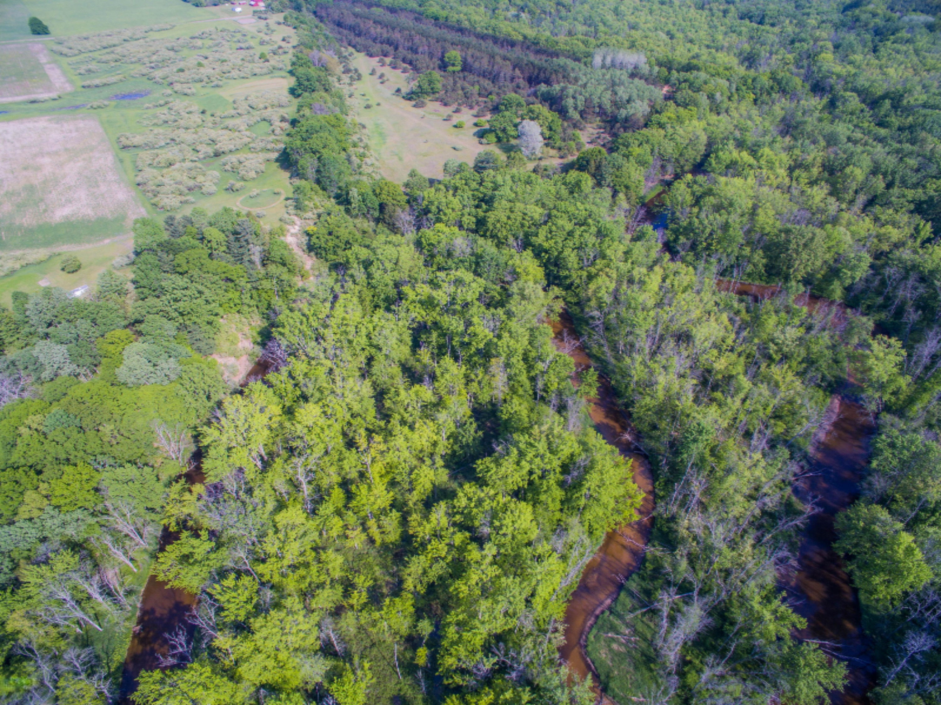 40 South A S Reek Road Custer, MI 49405 - Photo 13 of 37 40 Acres Custer PM River-9