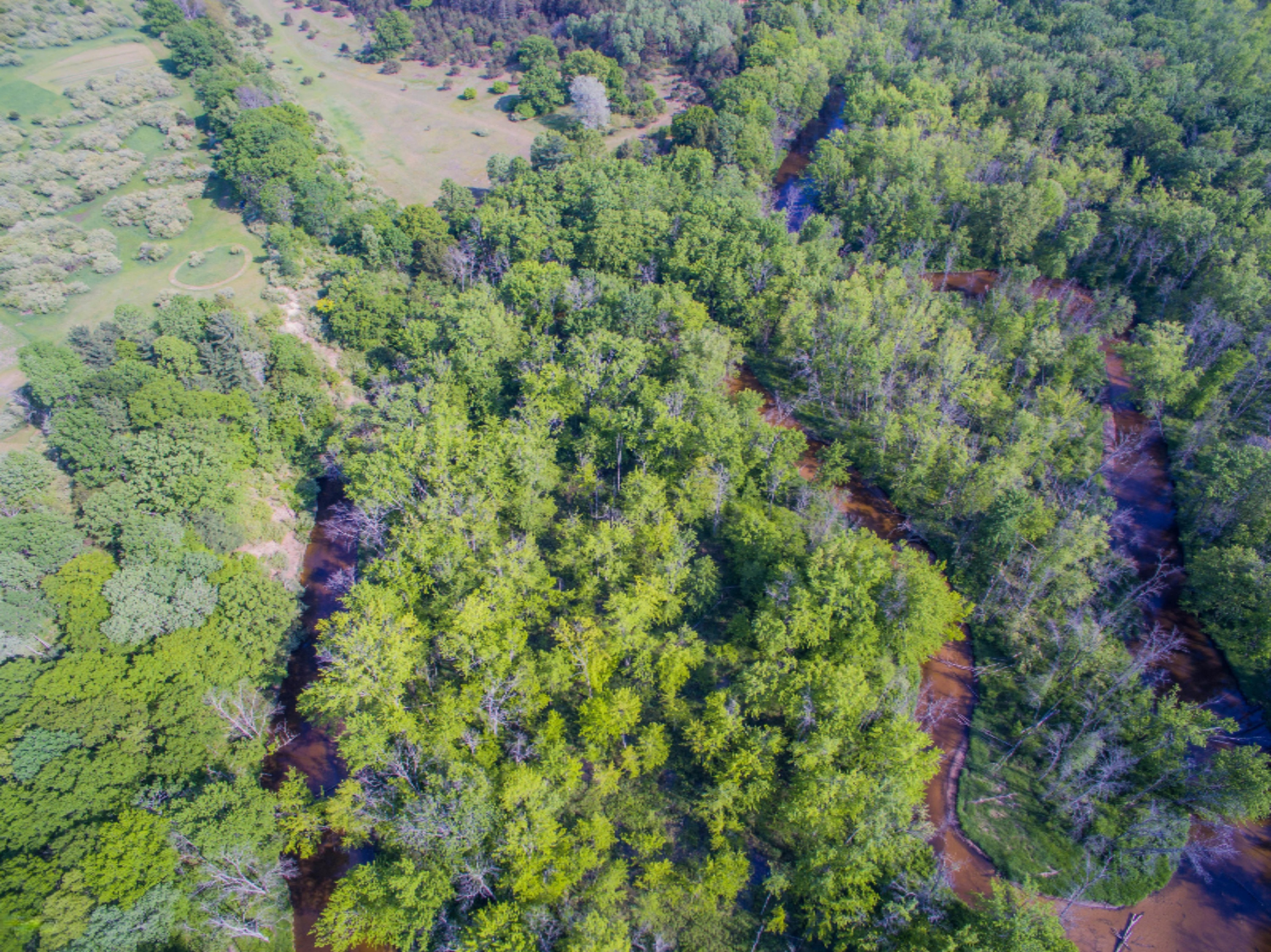 40 South A S Reek Road Custer, MI 49405 - Photo 14 of 37 40 Acres Custer PM River-10