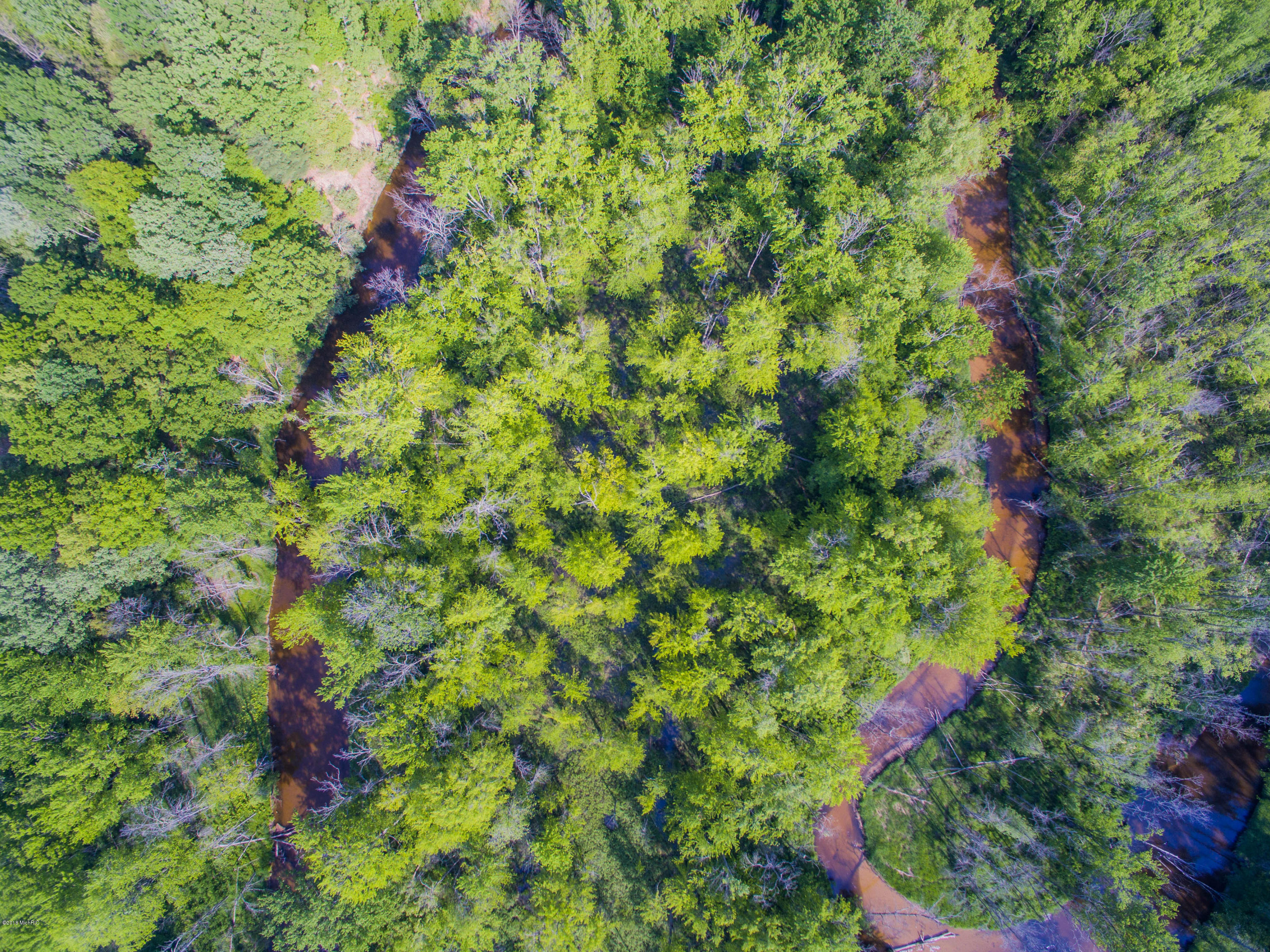 40 South A S Reek Road Custer, MI 49405 - Photo 15 of 37 40 Acres Custer PM River-12