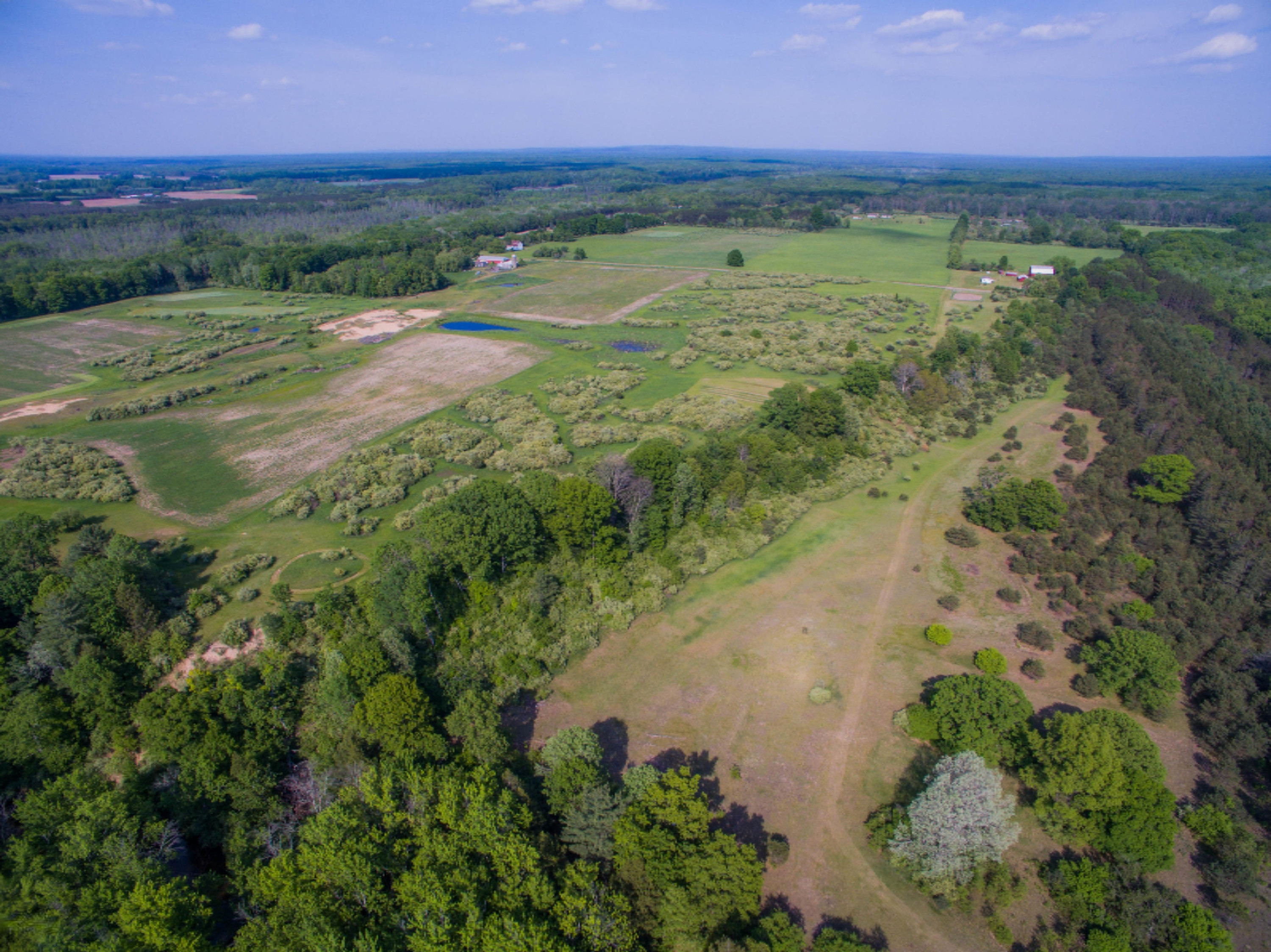 40 South A S Reek Road Custer, MI 49405 - Photo 16 of 37 40 Acres Custer PM River-13
