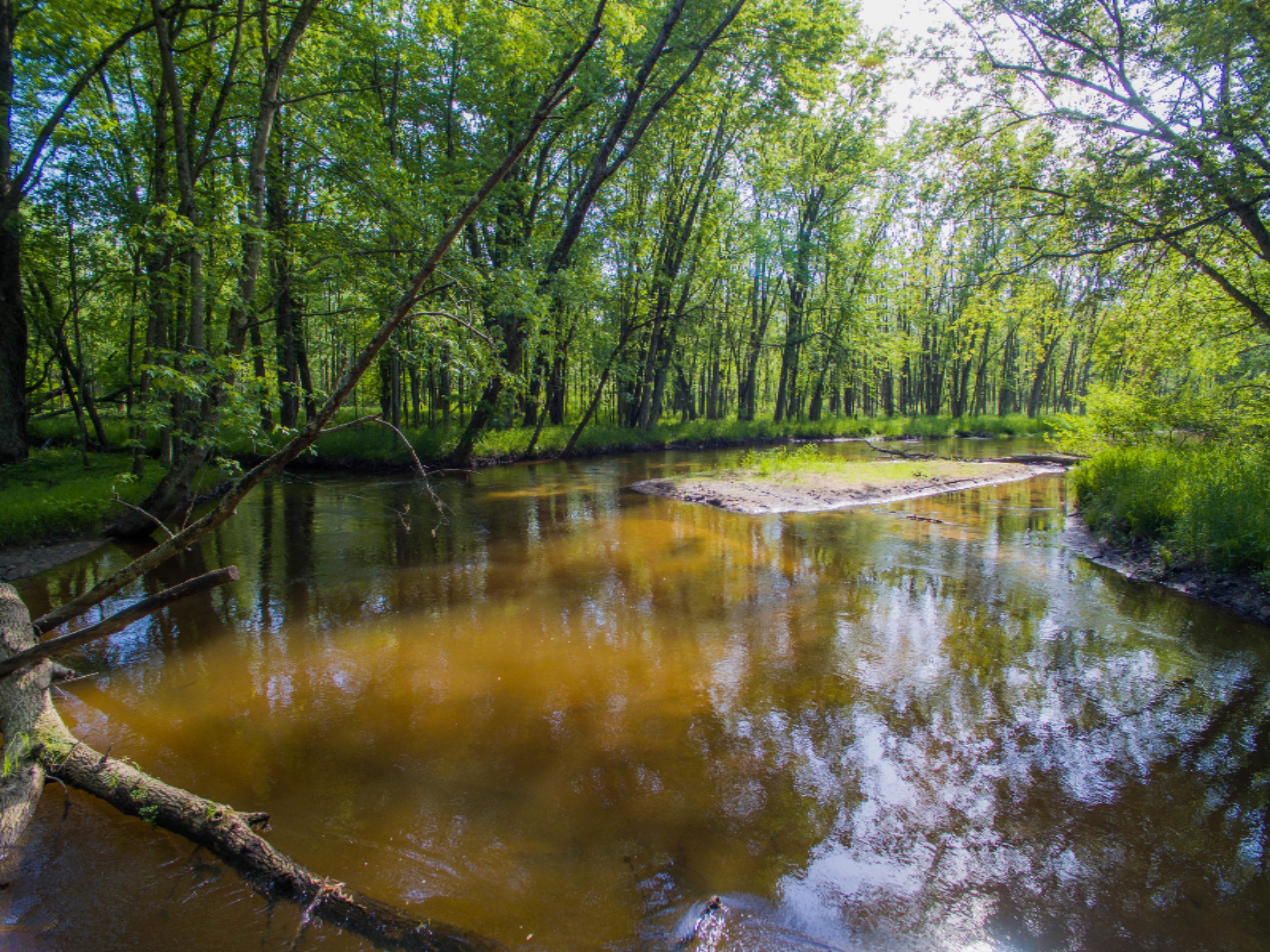40 South A S Reek Road Custer, MI 49405 - Photo 20 of 37 40 Acres Custer PM River-17