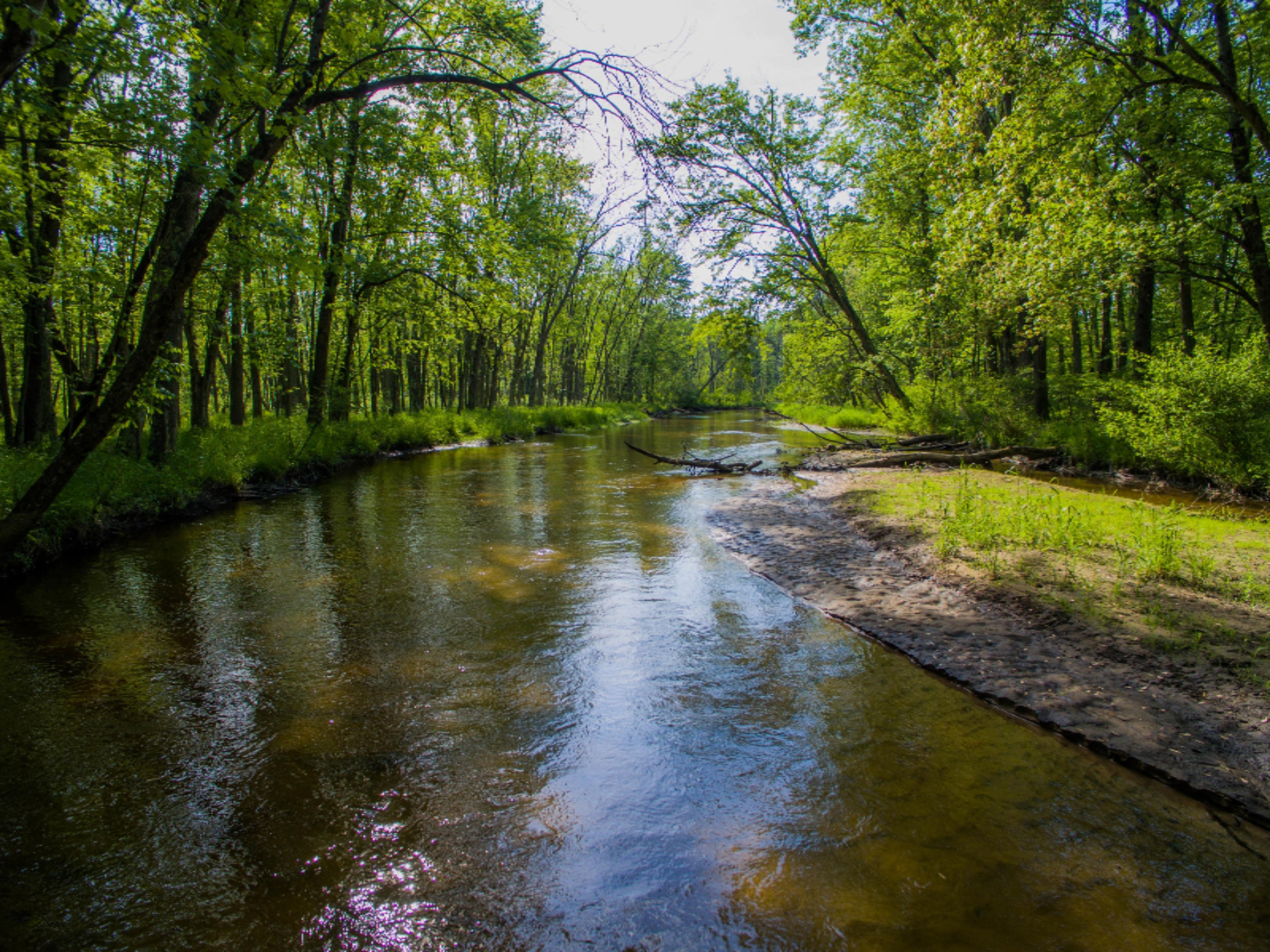 40 South A S Reek Road Custer, MI 49405 - Photo 21 of 37 40 Acres Custer PM River-18