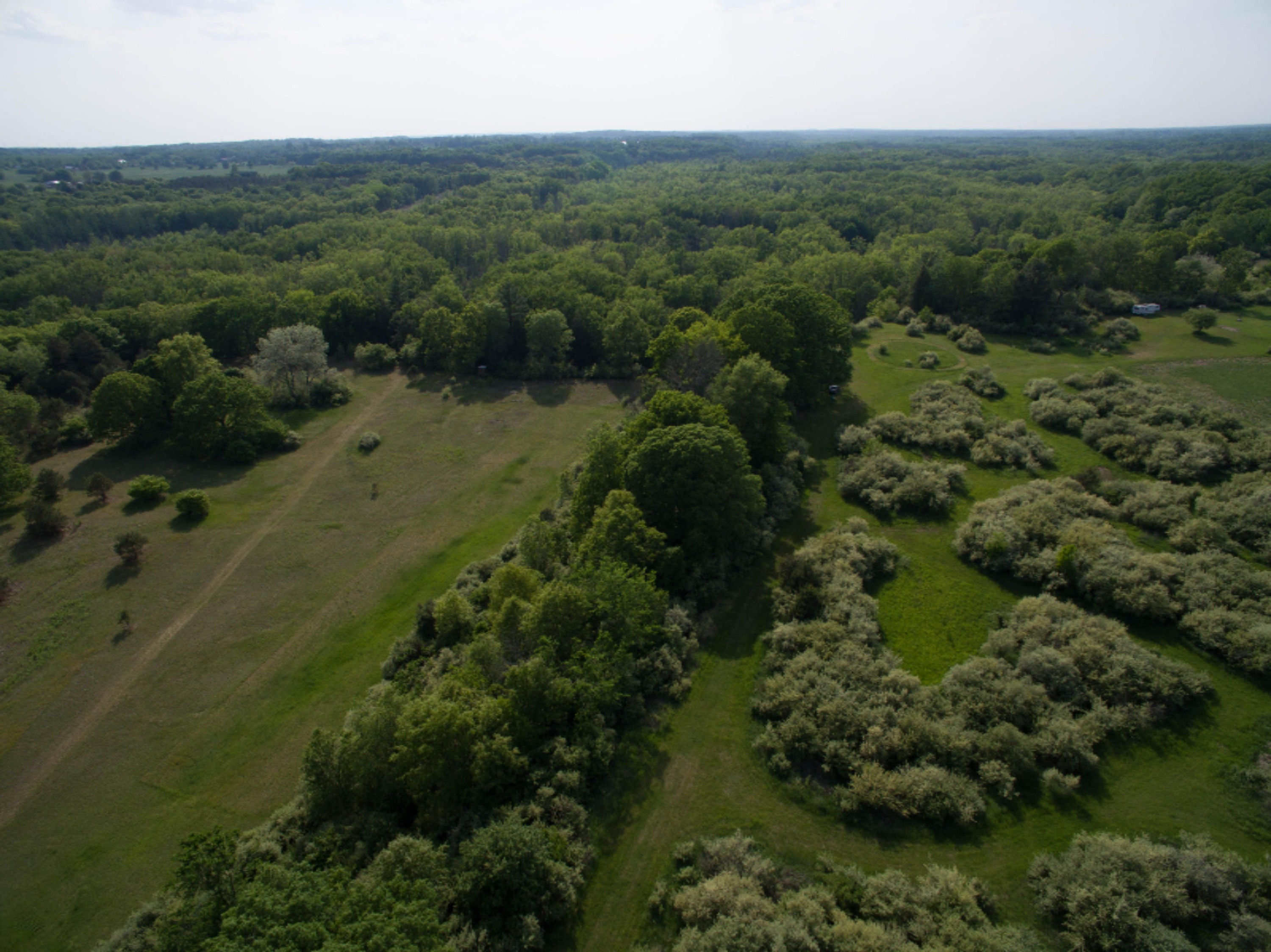 40 South A S Reek Road Custer, MI 49405 - Photo 22 of 37 40 Acres Custer PM River-21