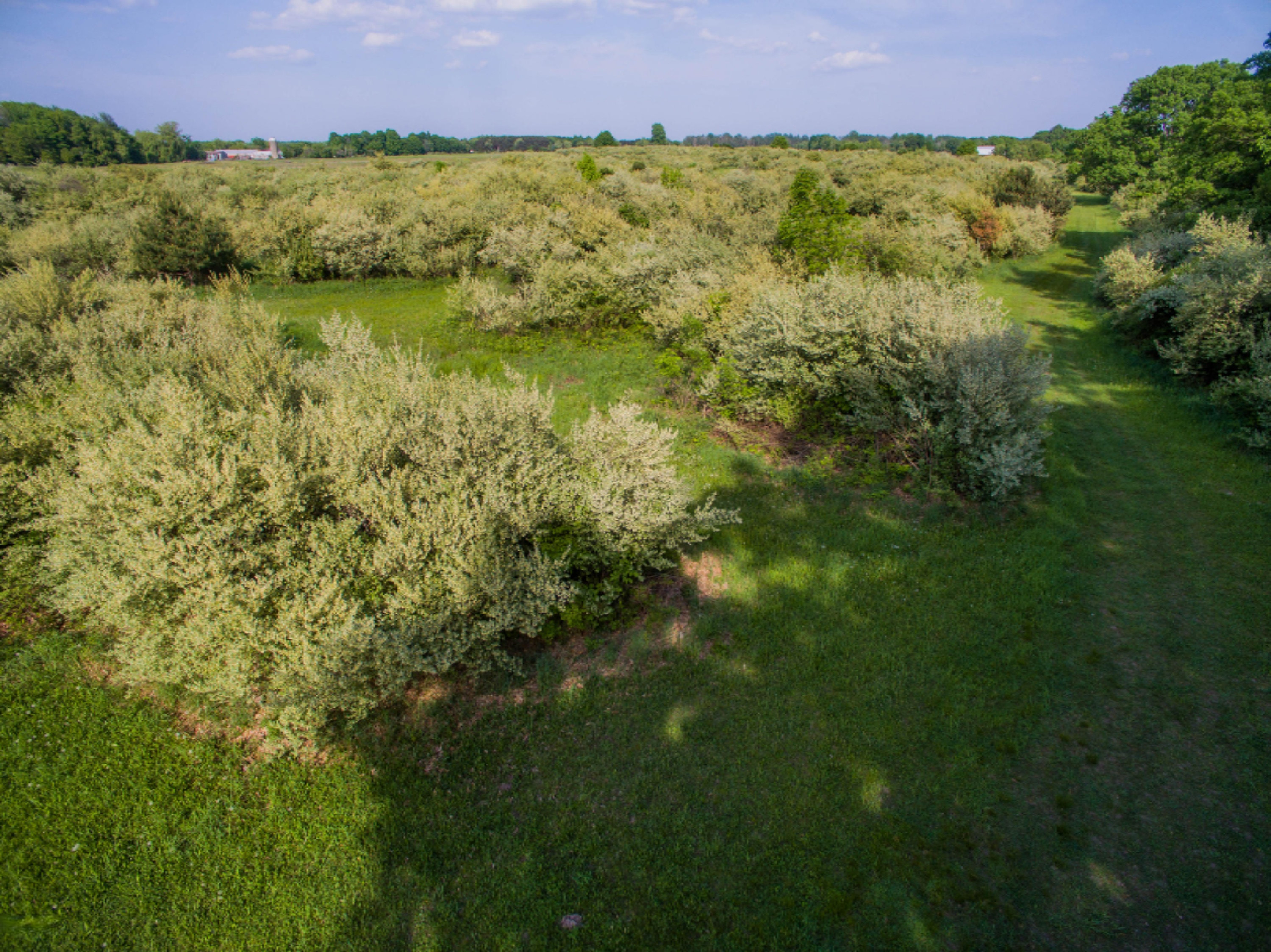 40 South A S Reek Road Custer, MI 49405 - Photo 23 of 37 40 Acres Custer PM River-23