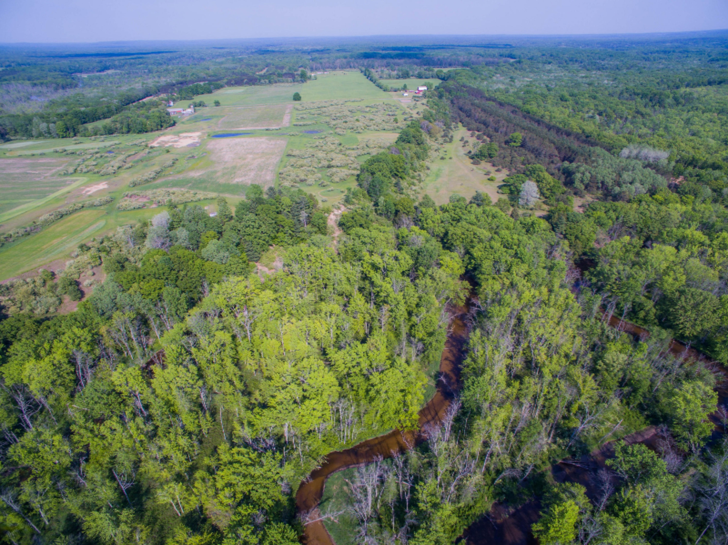 40 South A S Reek Road Custer, MI 49405 - Photo 3 of 37 40 Acres Custer PM River-8