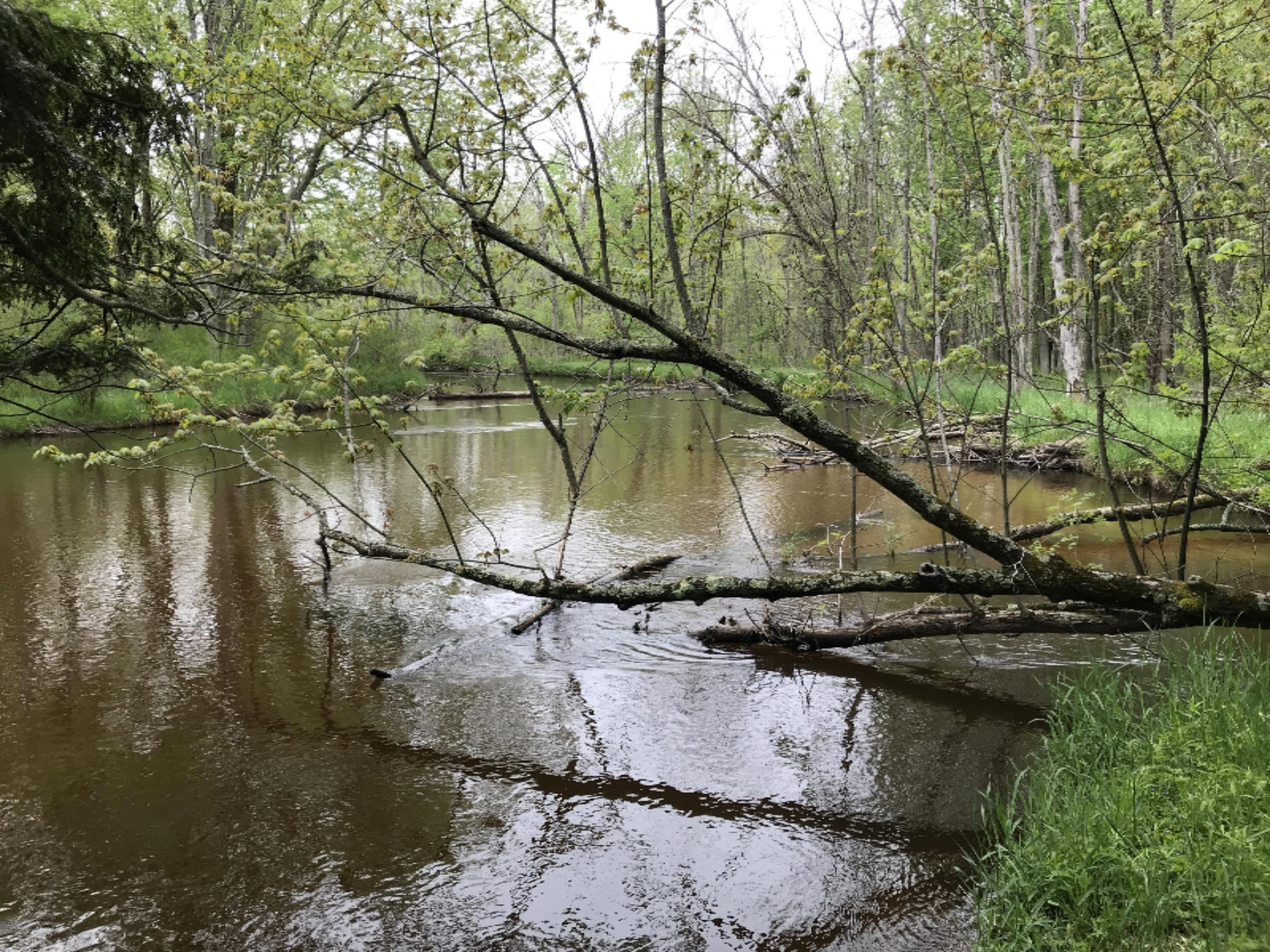 40 South A S Reek Road Custer, MI 49405 - Photo 31 of 37 Photo May 22, 2 07 15 PM