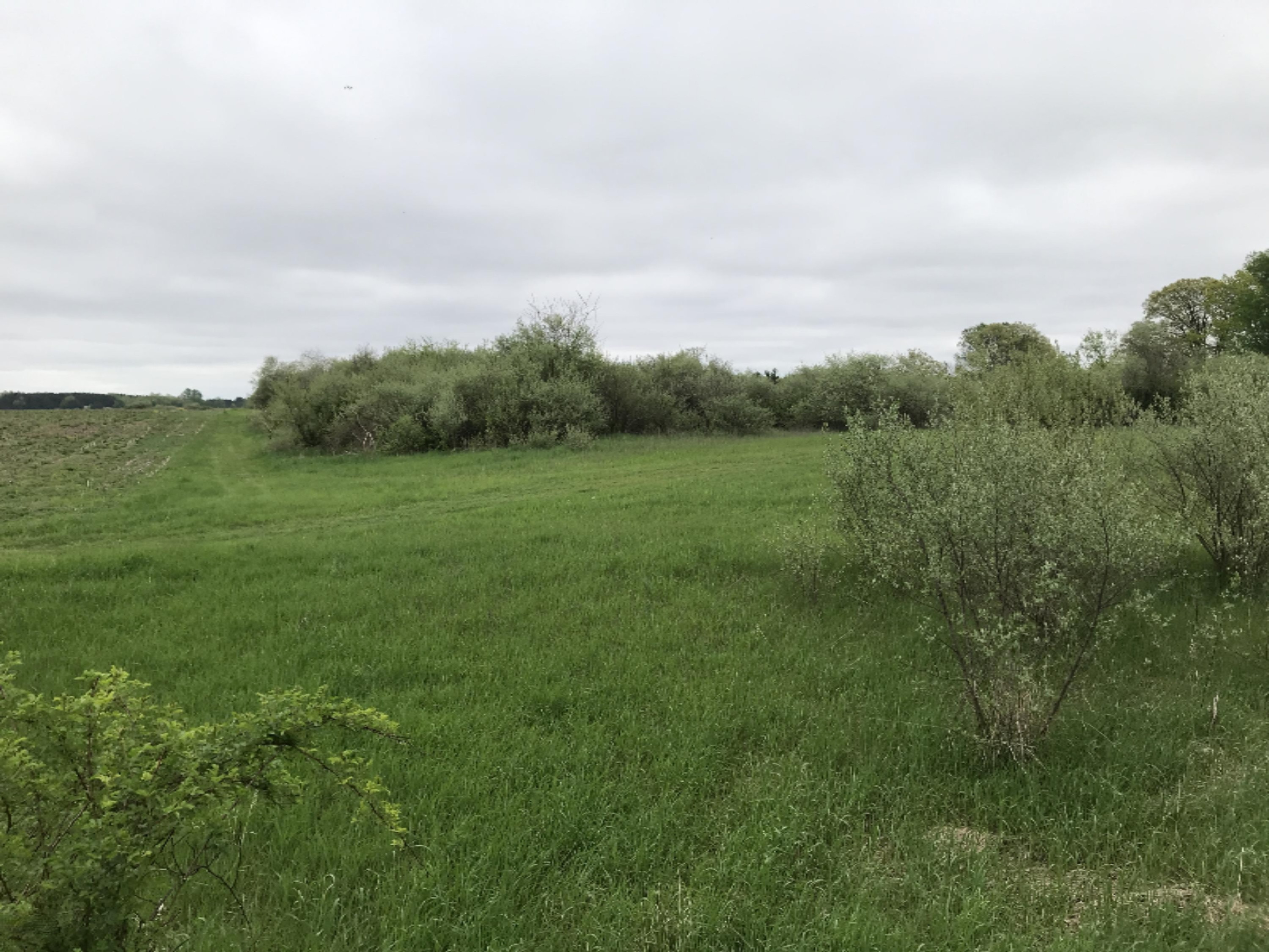 40 South A S Reek Road Custer, MI 49405 - Photo 34 of 37 Photo May 22, 2 27 27 PM