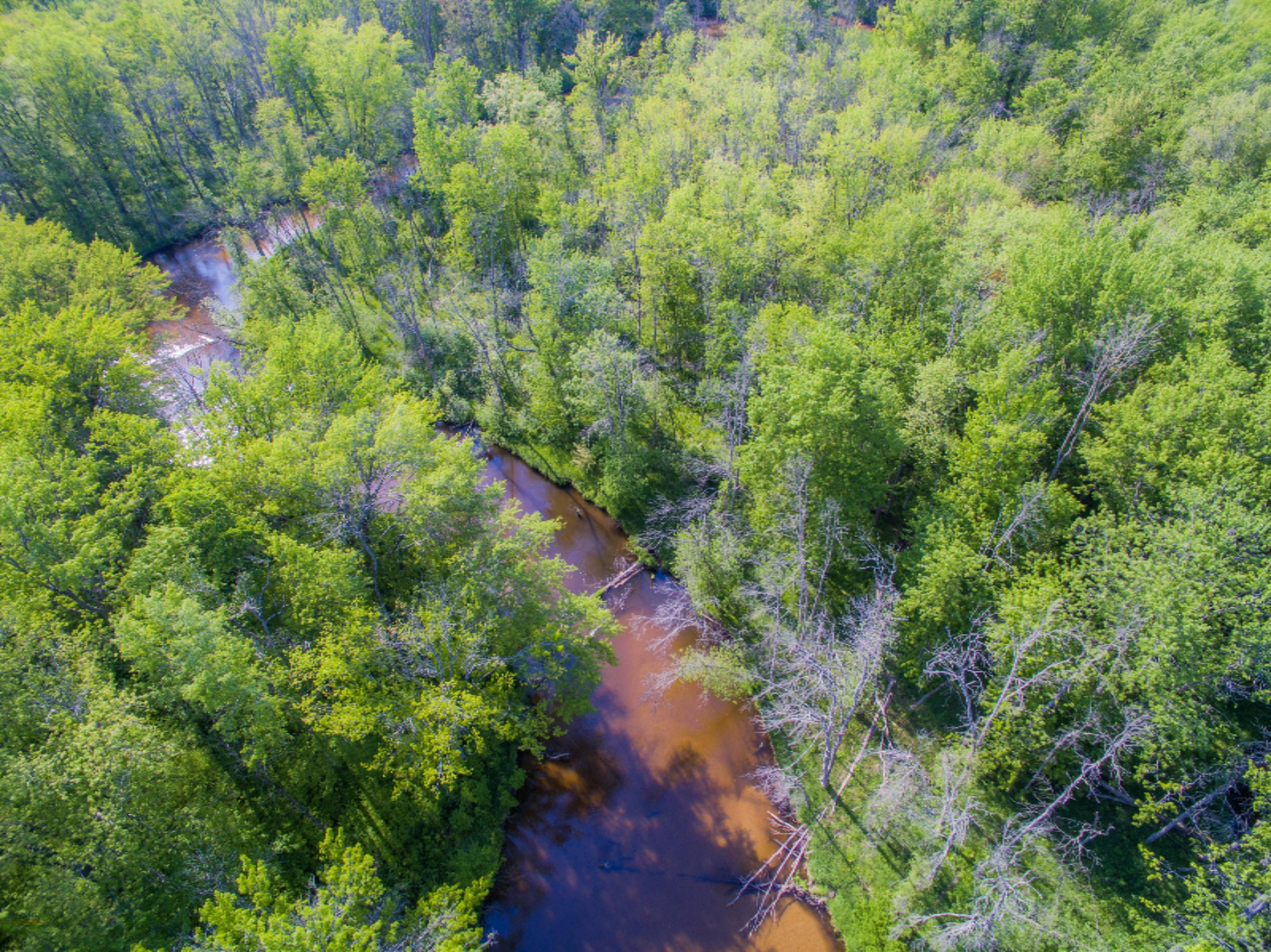40 South A S Reek Road Custer, MI 49405 - Photo 4 of 37 40 Acres Custer PM River-2