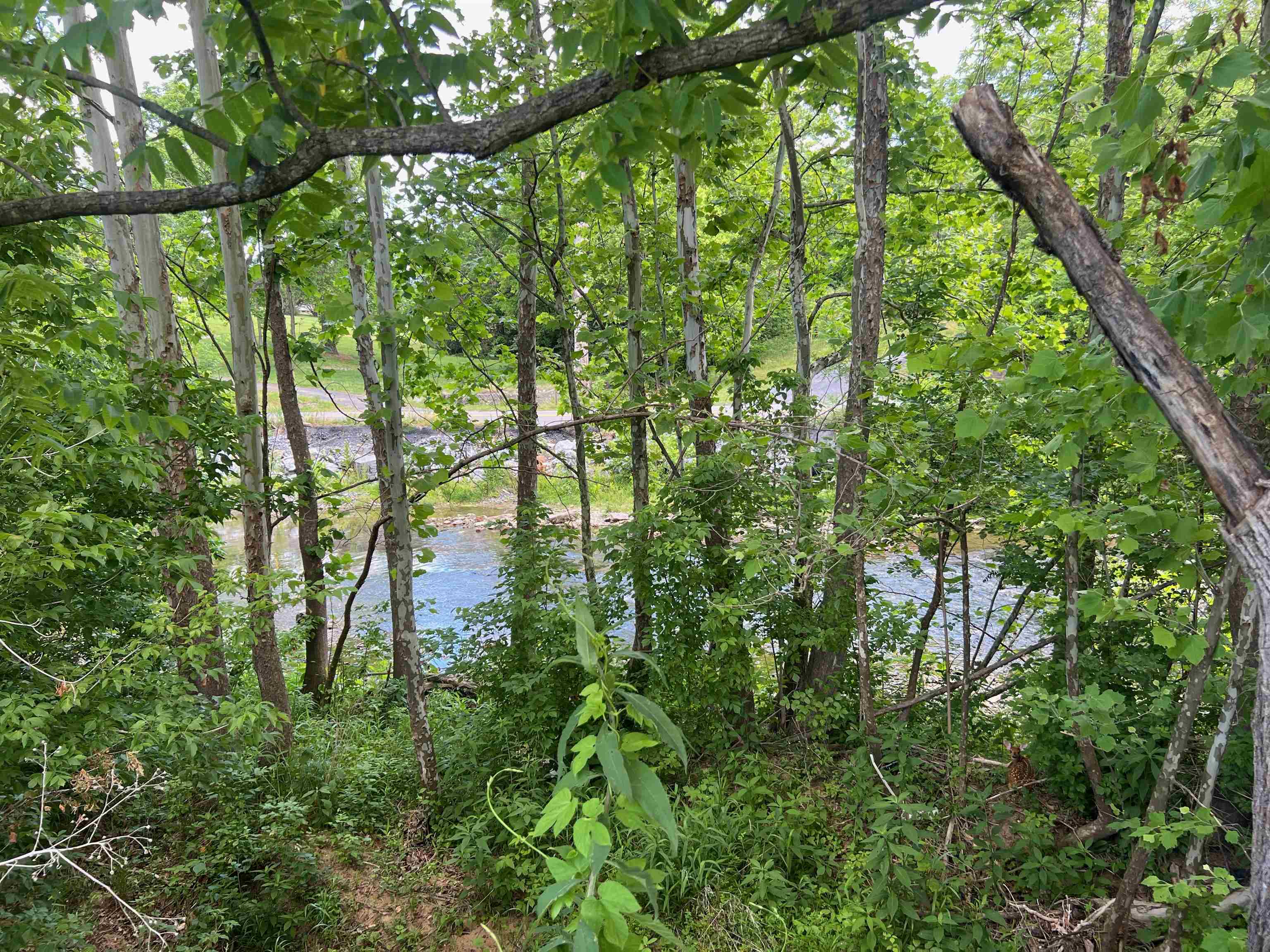 94 Mill Pond Road Verona, VA 24482 - Photo 14 of 18
