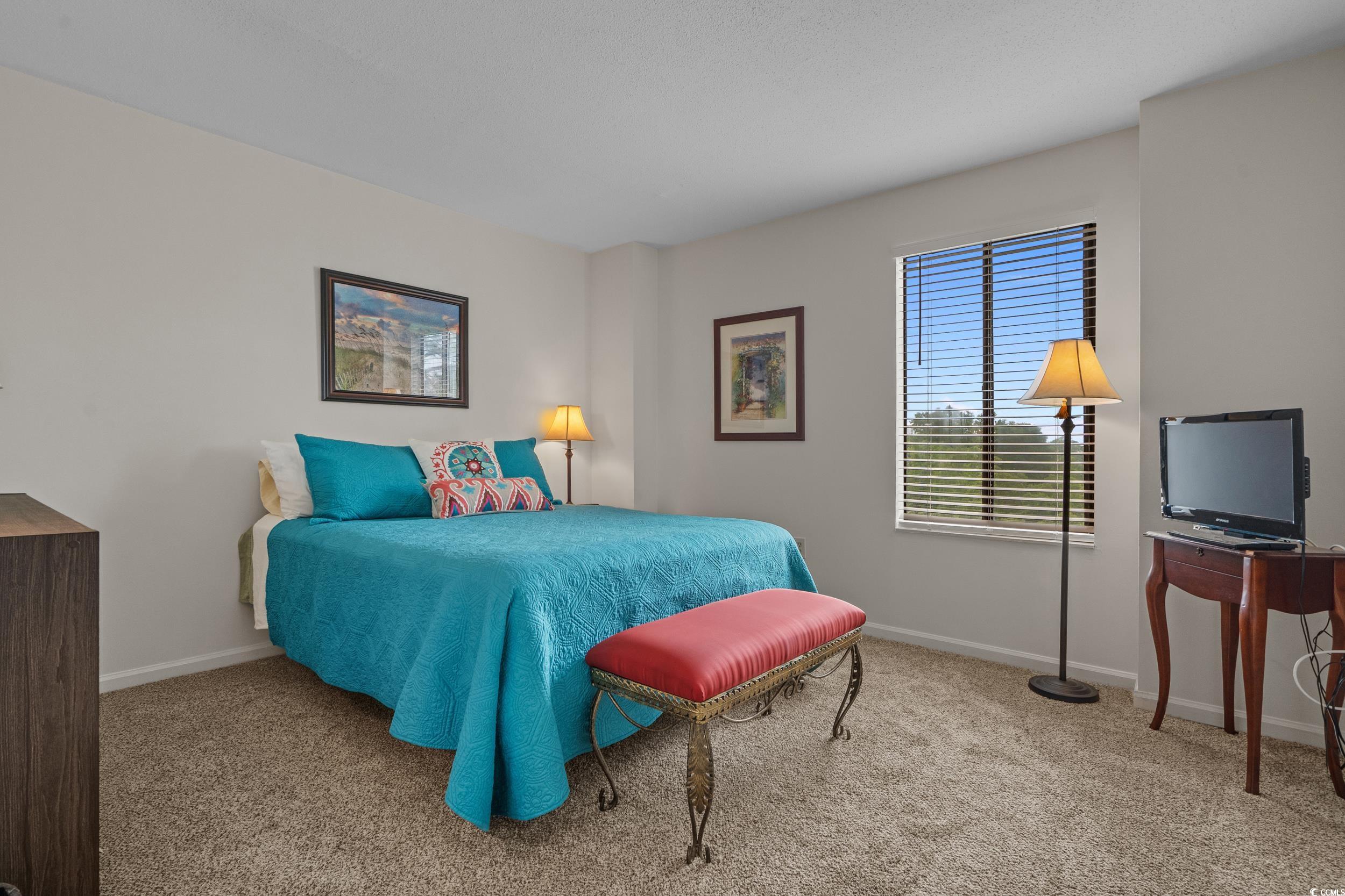 310 73rd Avenue North, Unit 5D Myrtle Beach, SC 29572 - Photo 25 of 40