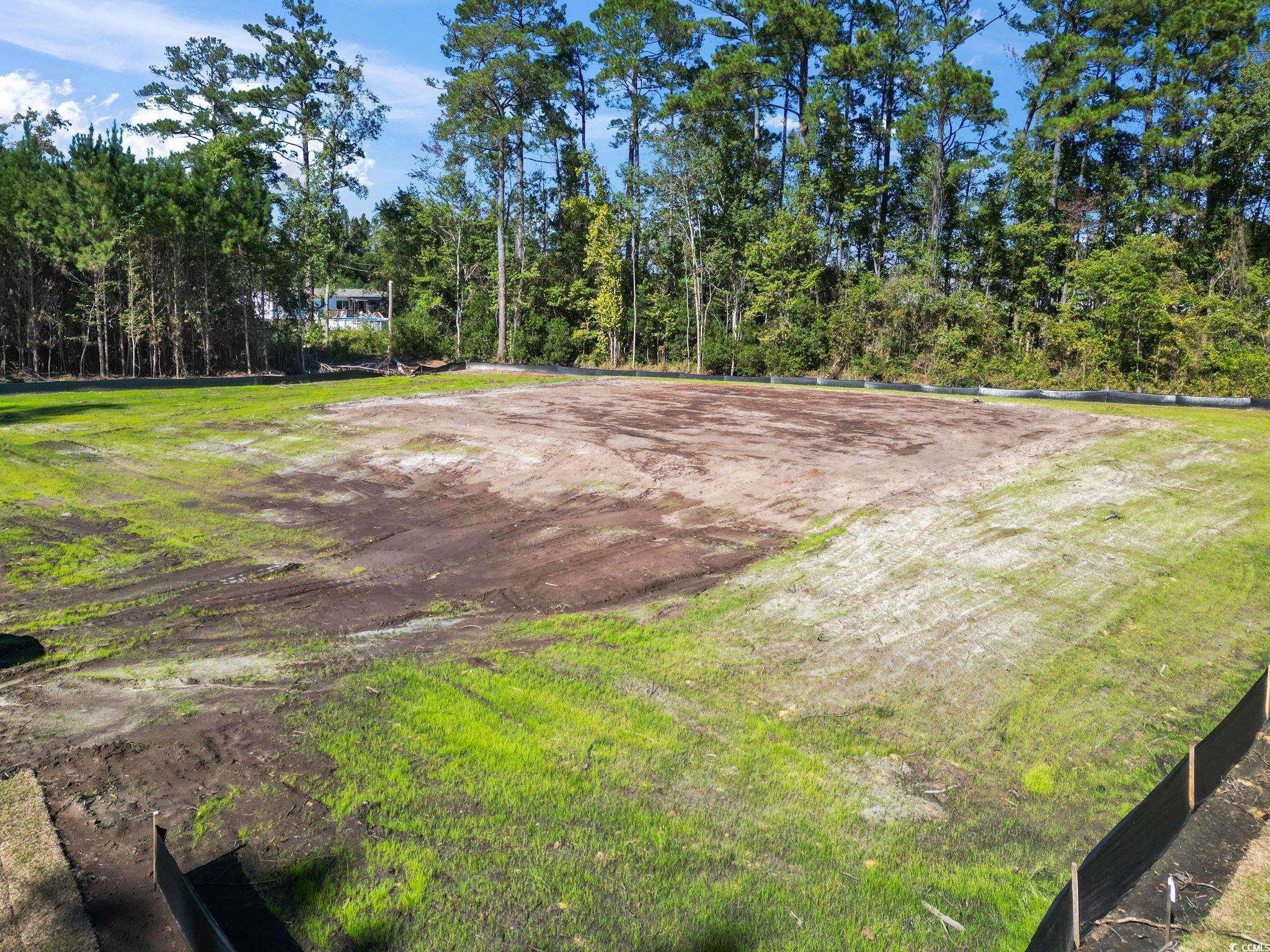 1030 Fowler Road Conway, SC 29526 - Photo 2 of 9 View of yard