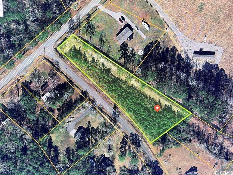 1030 Fowler Road Conway, SC 29526 - Photo 9 of 9 Aerial map of property and surrounding area with property boundaries highlighted