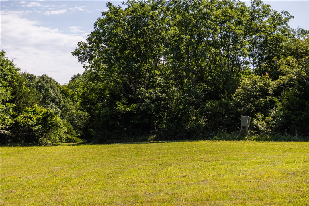 10022 West Devils Den Road Winslow, AR 72959 - Photo 57 of 60 Gallery Image 57