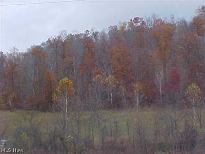 Battle Ridge Road Cambridge, OH 43725 - Photo 1 of 1 Gallery Image 1
