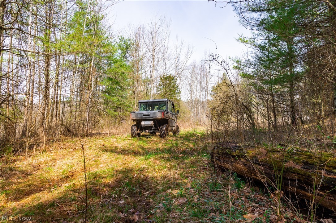 East Branch Road Lowell, OH 45744 - Photo 20 of 29