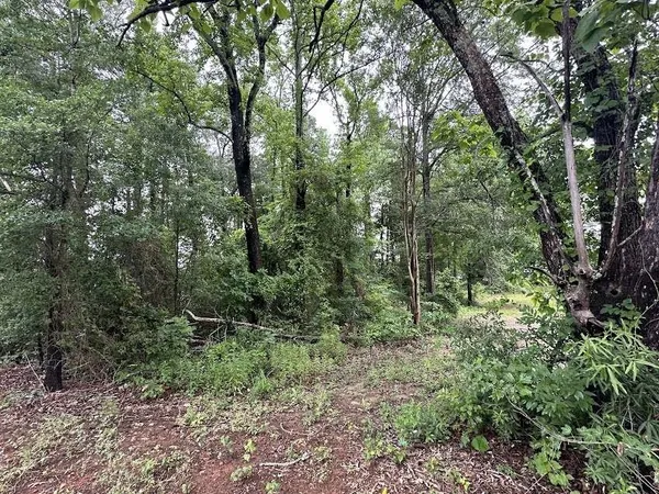 $24,999 | 0 West Meredith Street, Marshall, TX 75670
