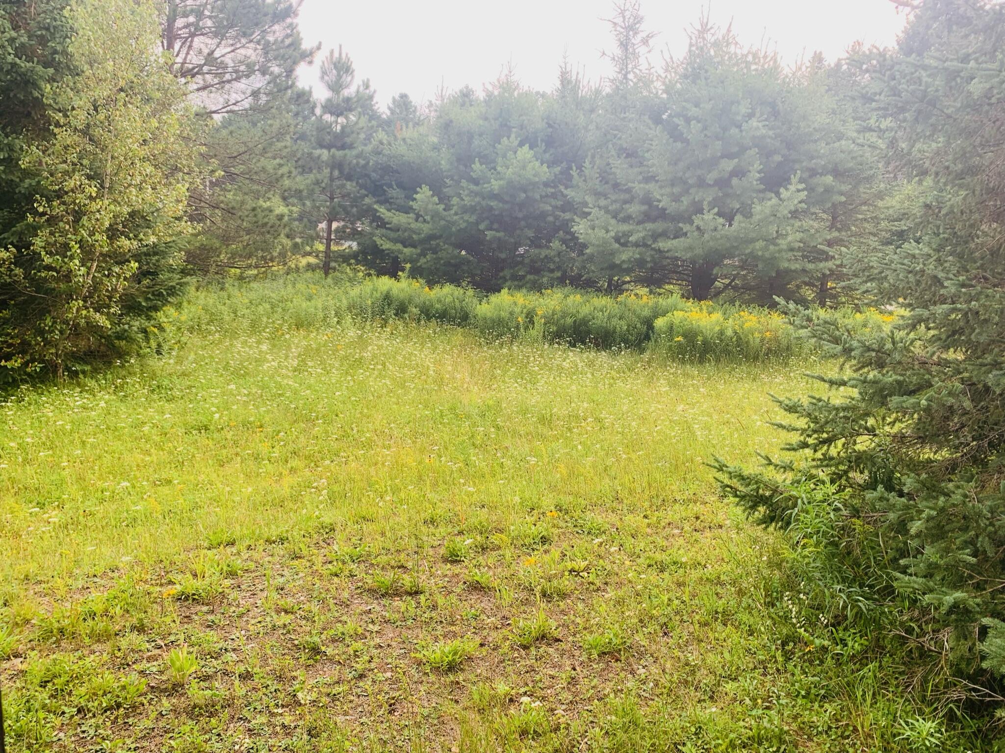 Tbd Danforth Road Wytopitlock, ME 04497 - Photo 3 of 10 IMG_0003