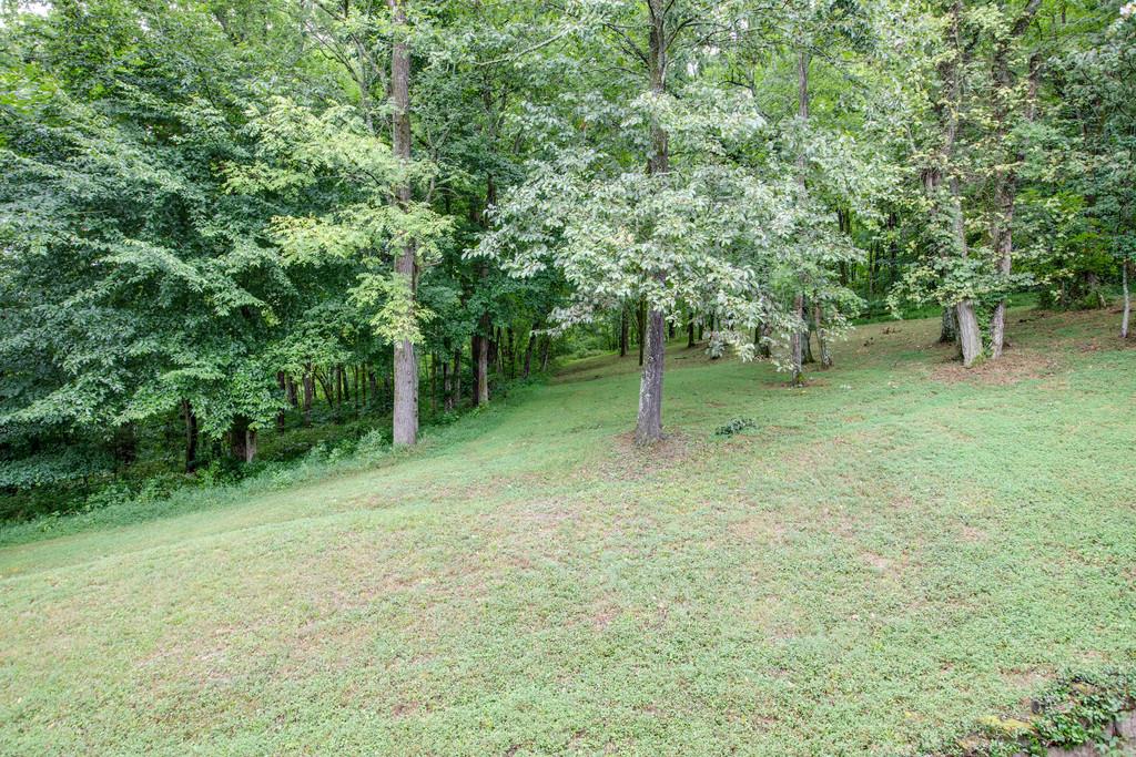 3340 Blazer Road Franklin, TN 37064 - Photo 22 of 29 a backyard of a house with lots of plants and large tree
