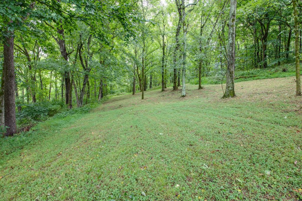 3340 Blazer Road Franklin, TN 37064 - Photo 27 of 29 a view of a forest with trees in the background