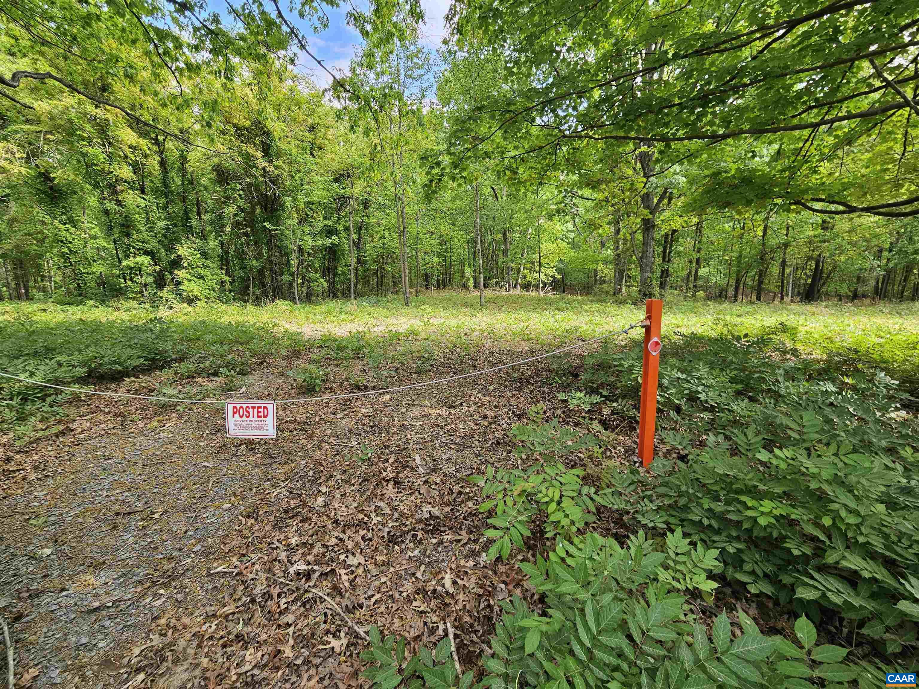 8.65-ac Pond Road Buckingham, VA 23921 - Photo 3 of 23 Gallery Image 3