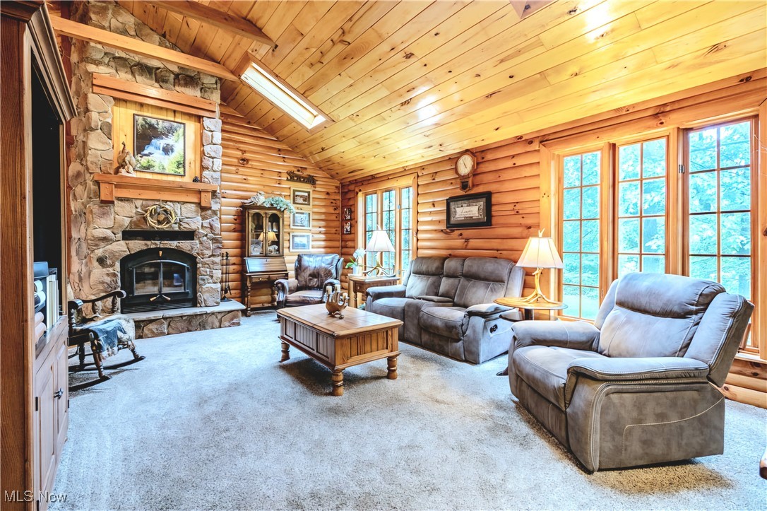 49144 Hickman Road Calcutta, OH 43920 - Photo 9 of 23 Carpeted living room with a stone fireplace, a skylight, high vaulted ceiling